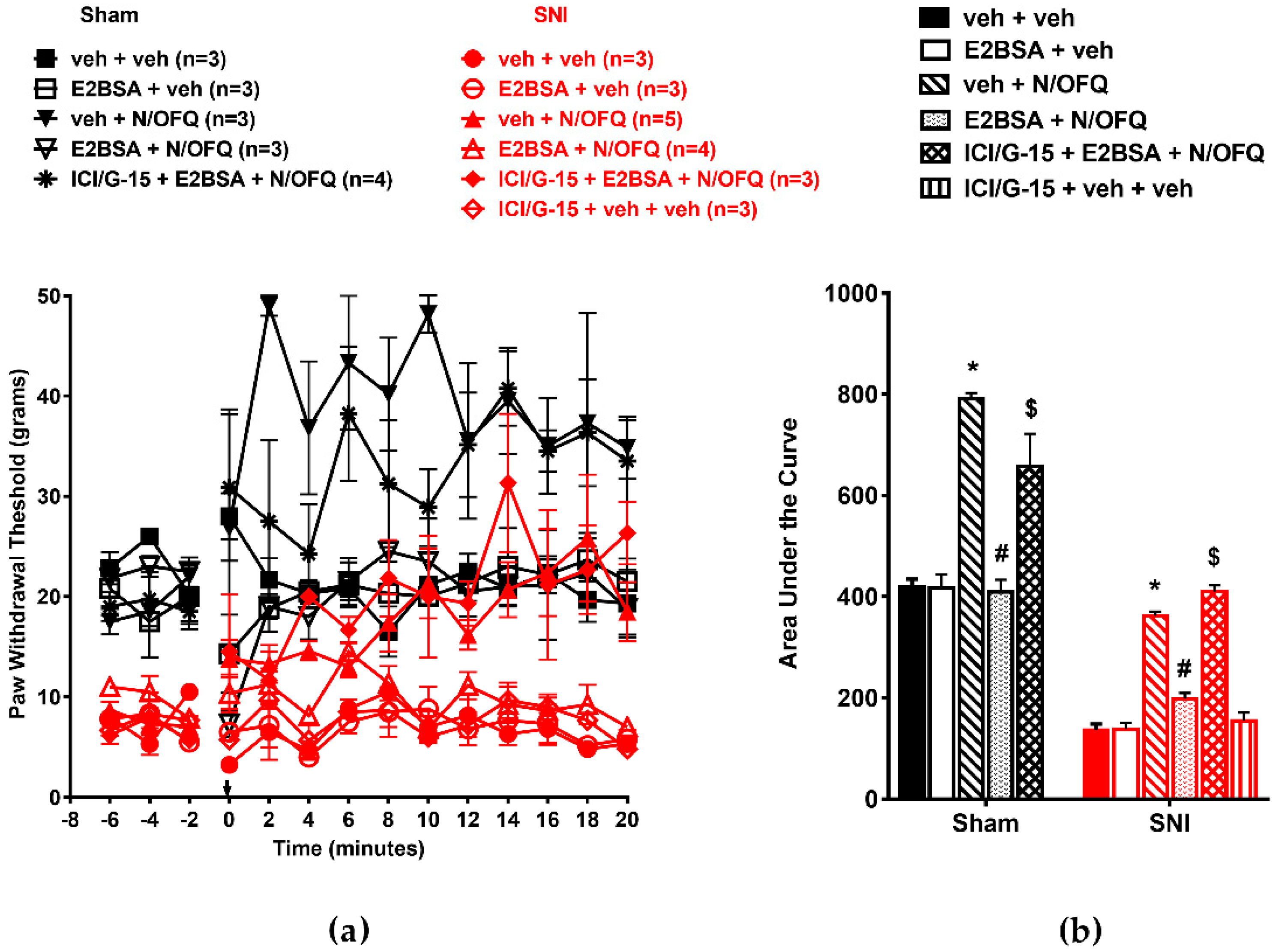 Brainsci 09 00147 g002 Brainsci 09 00147 g002