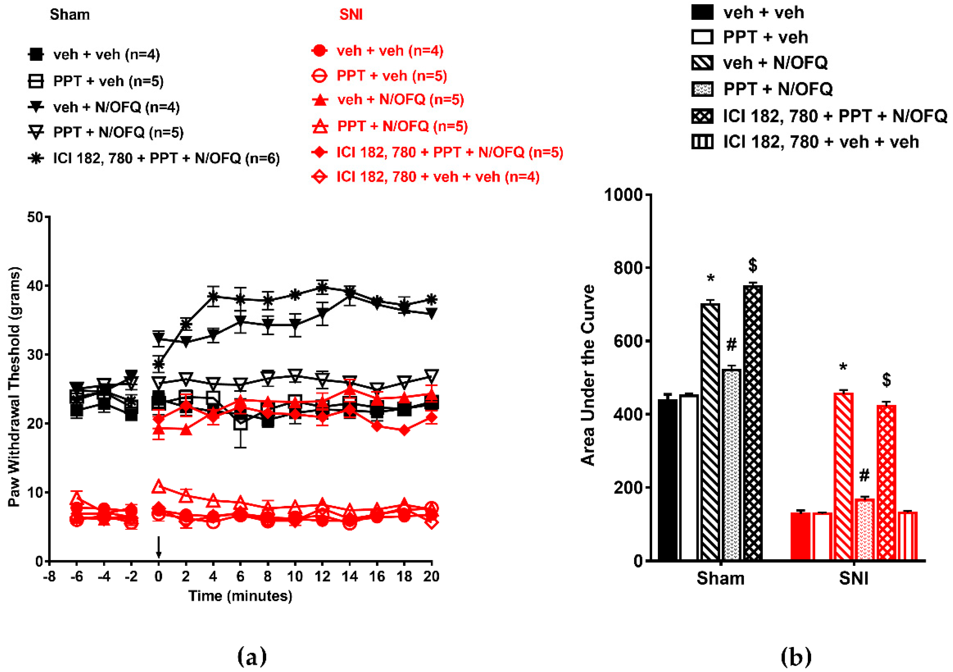 Brainsci 09 00147 g003 Brainsci 09 00147 g003