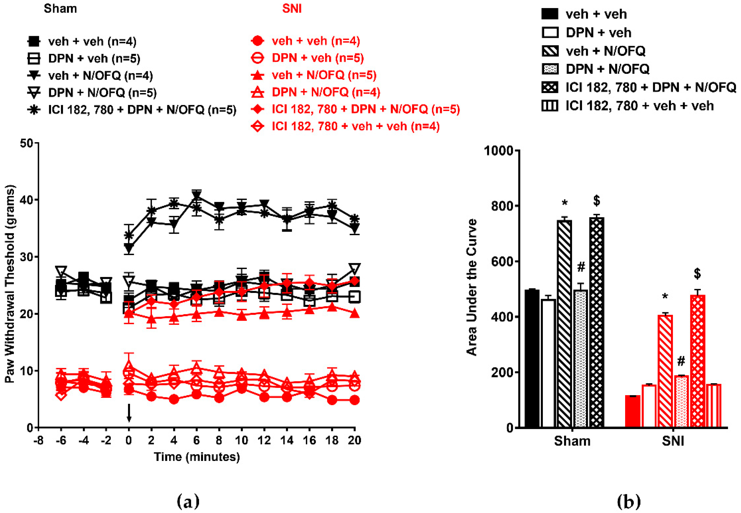 Brainsci 09 00147 g006 Brainsci 09 00147 g006