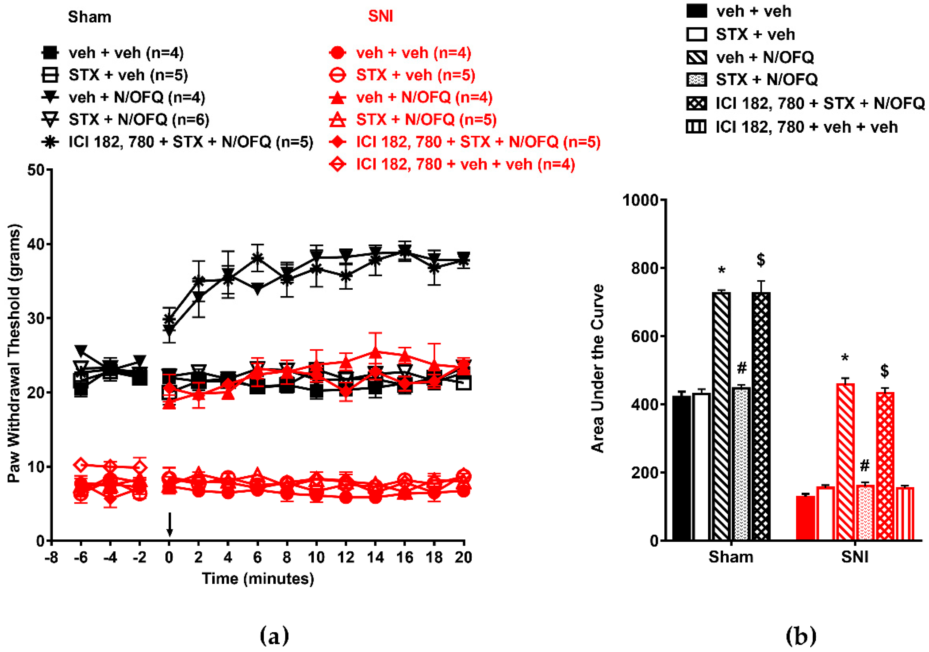 Brainsci 09 00147 g009 Brainsci 09 00147 g009