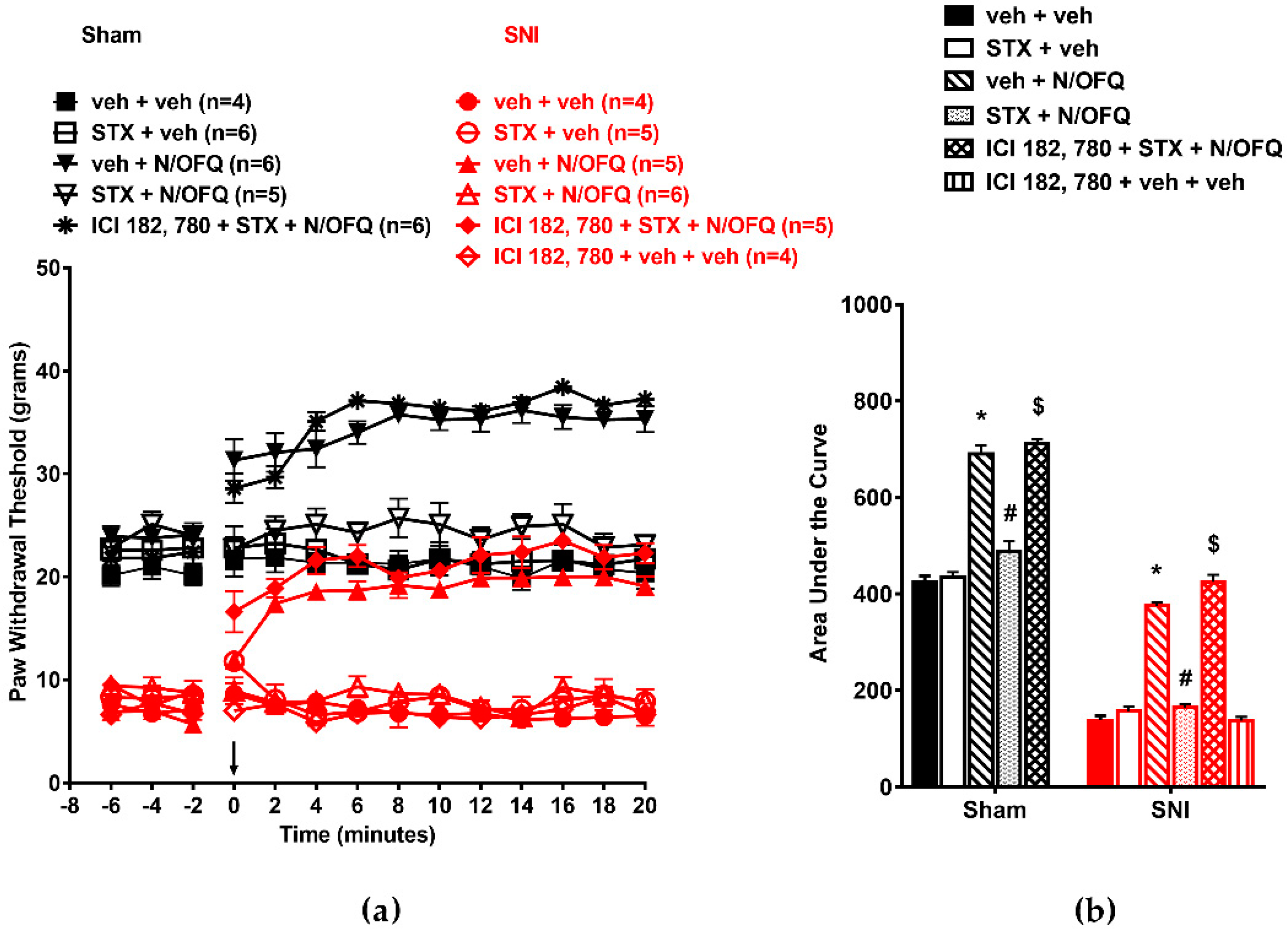 Brainsci 09 00147 g010 Brainsci 09 00147 g010