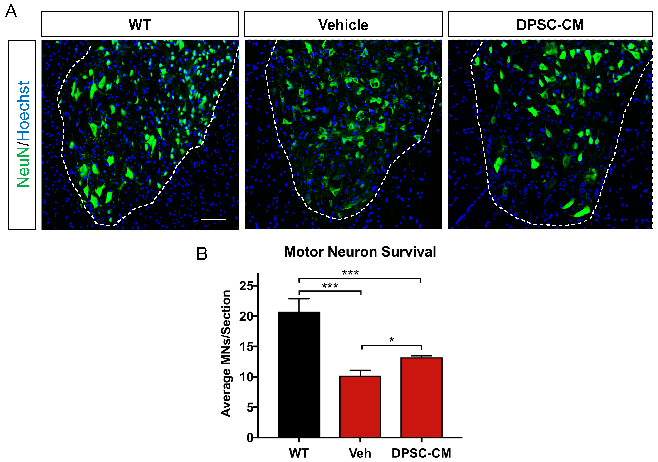 Brainsci 09 00165 g004 Brainsci 09 00165 g004