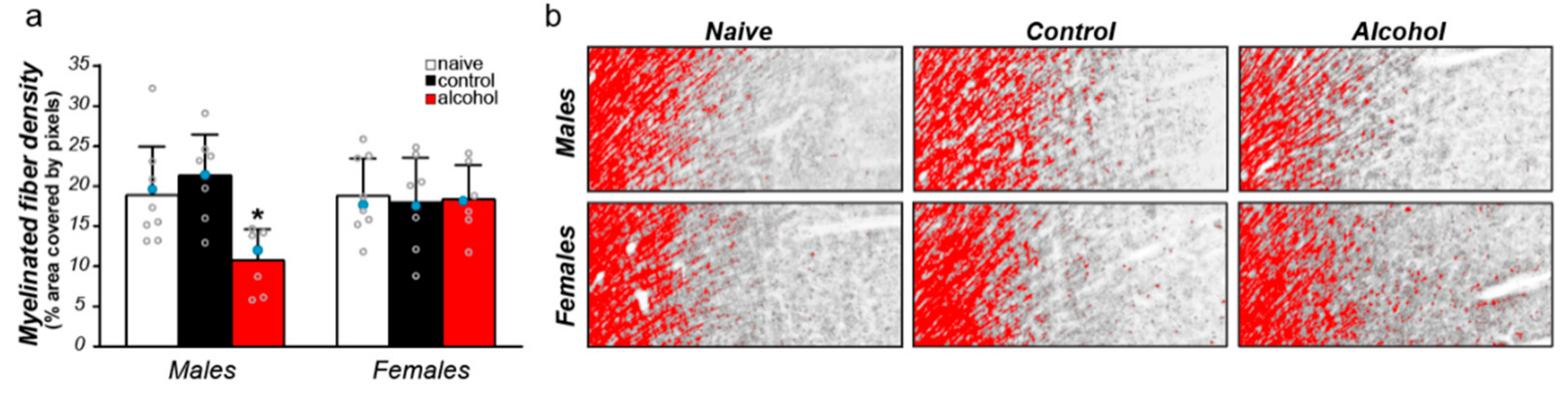 Brainsci 09 00167 g002