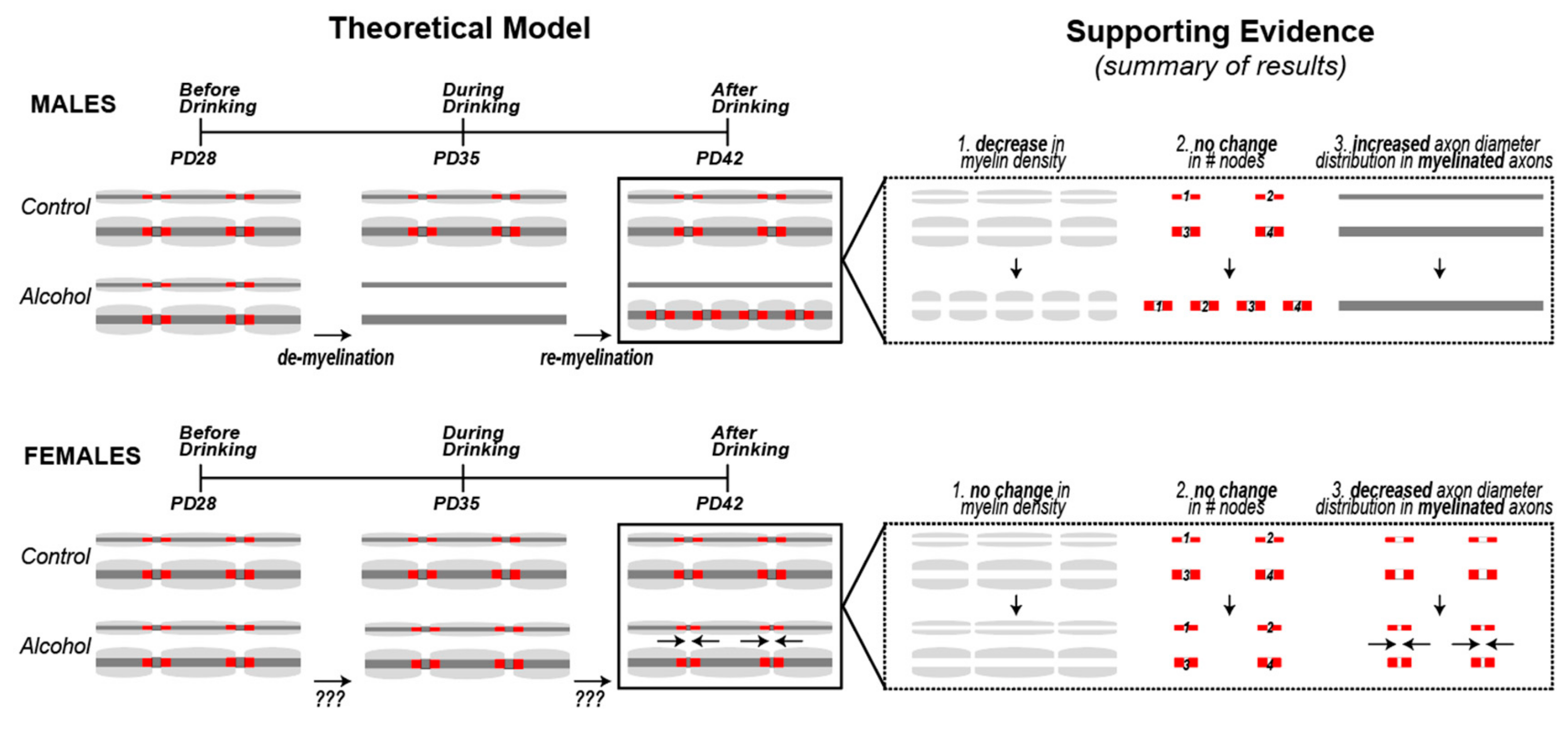 Brainsci 09 00167 g005
