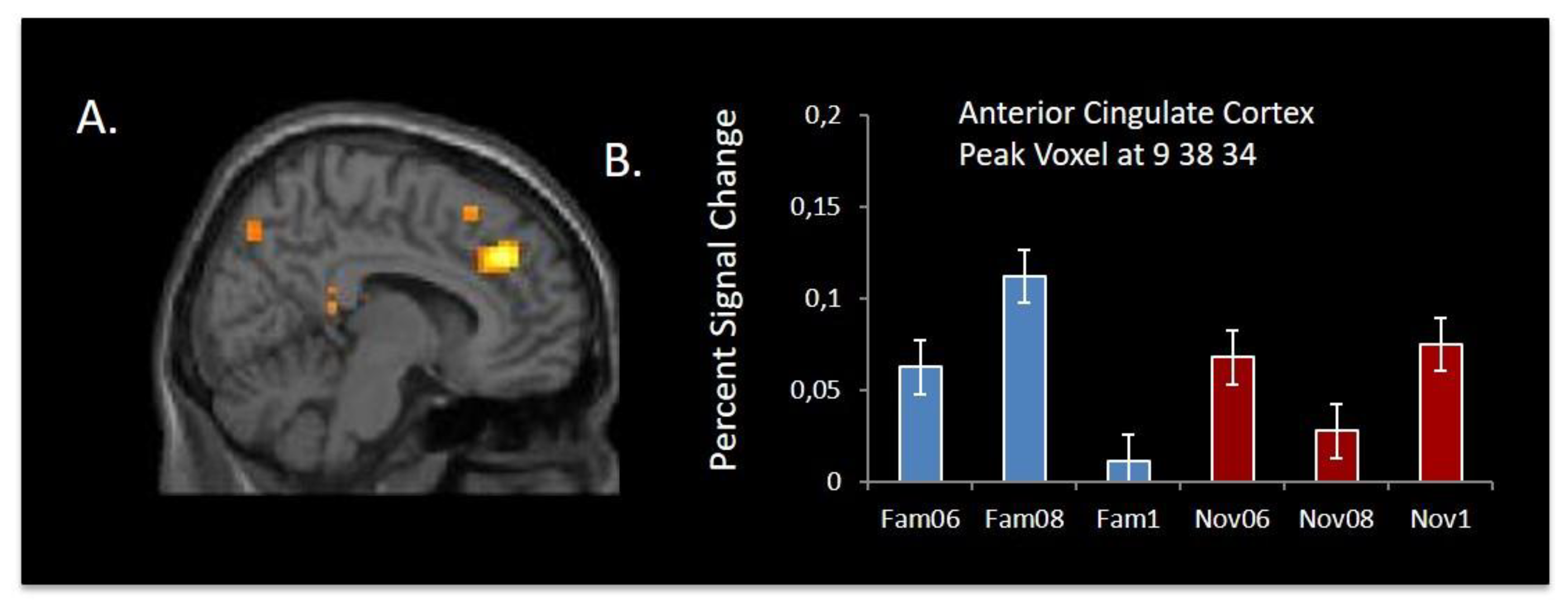 Brainsci 09 00174 g005