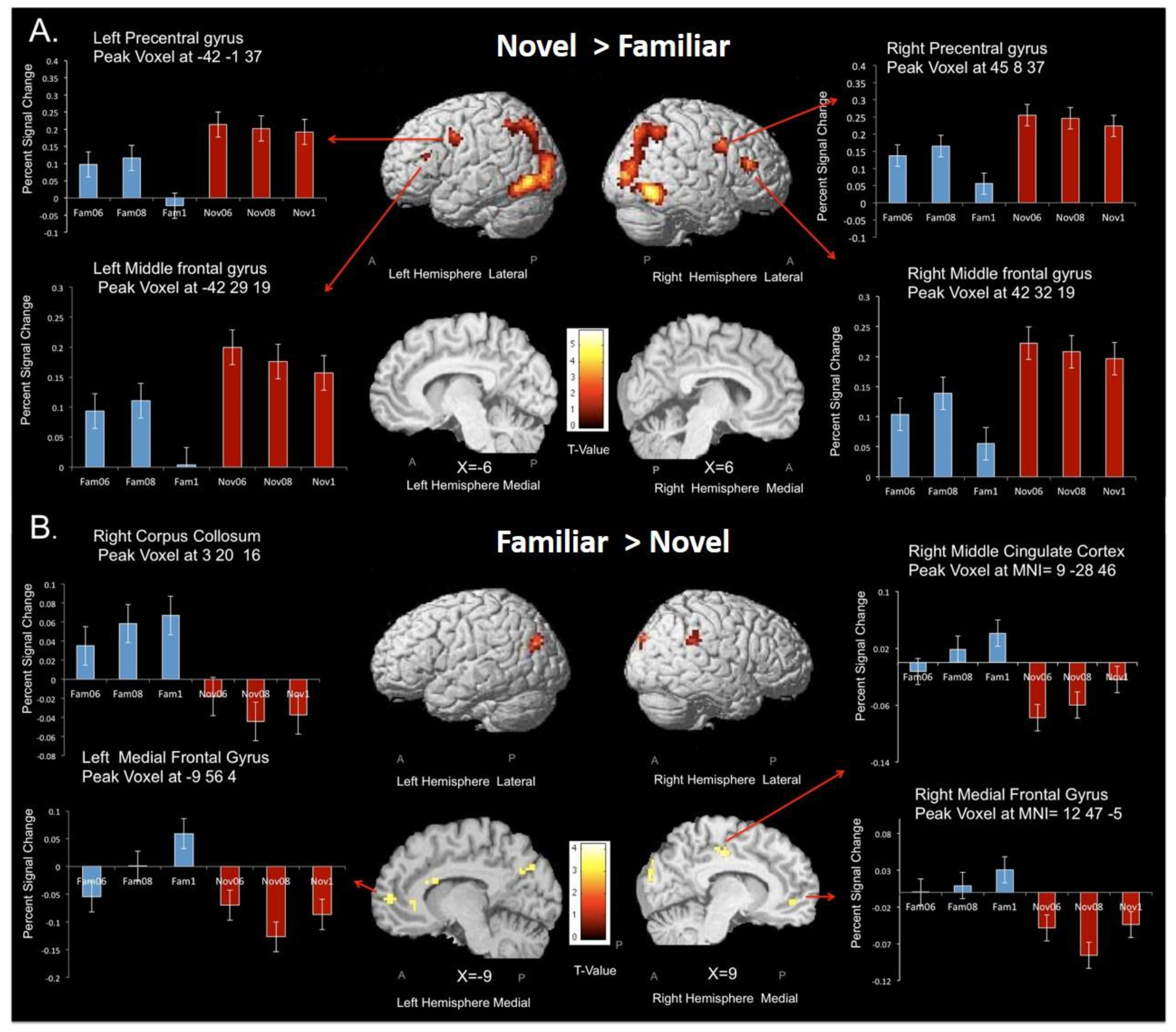 Brainsci 09 00174 g006