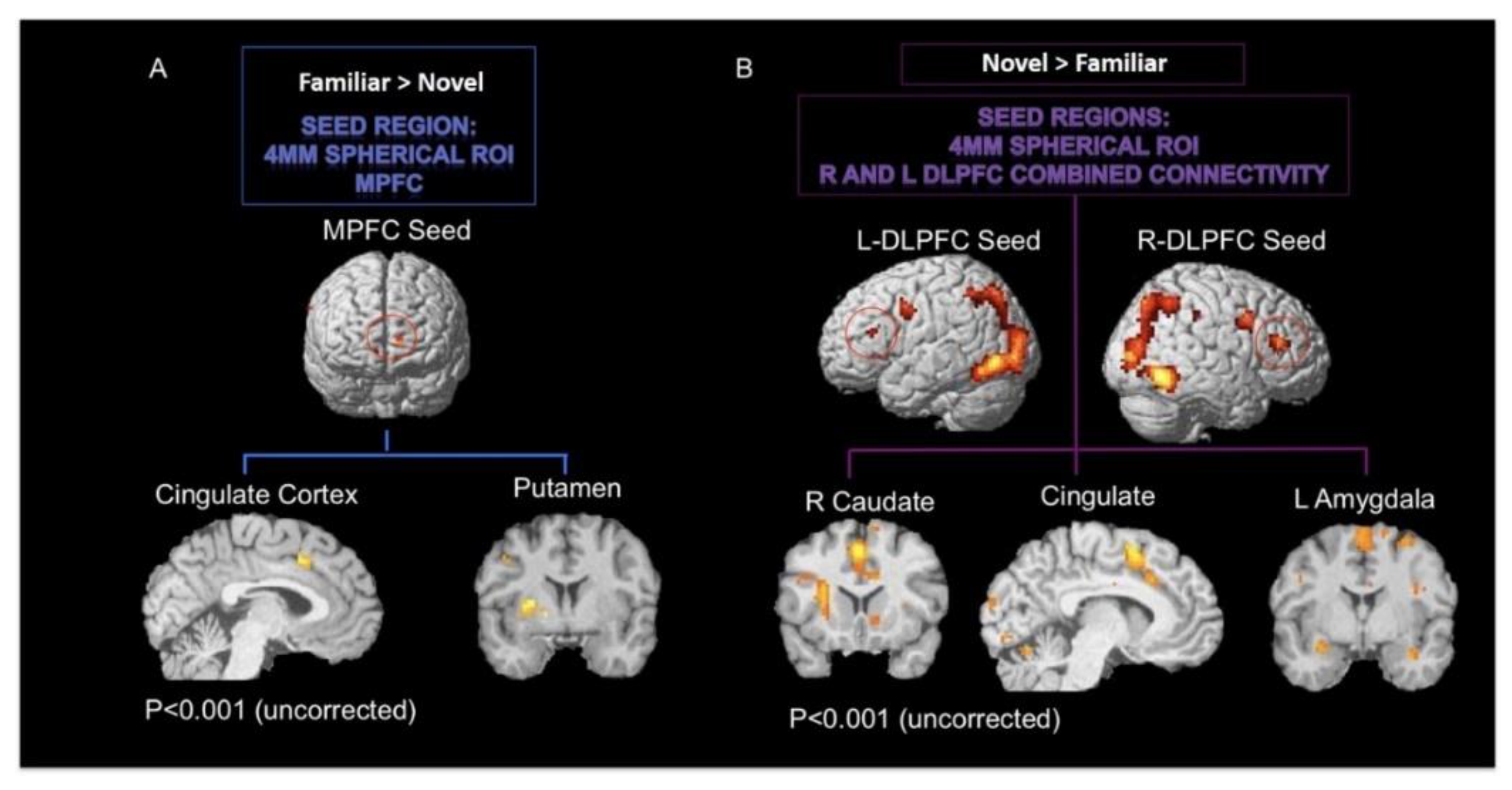 Brainsci 09 00174 g007