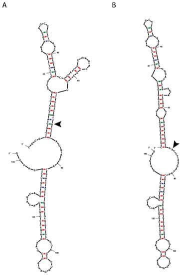 Brainsci 09 00184 g0a1