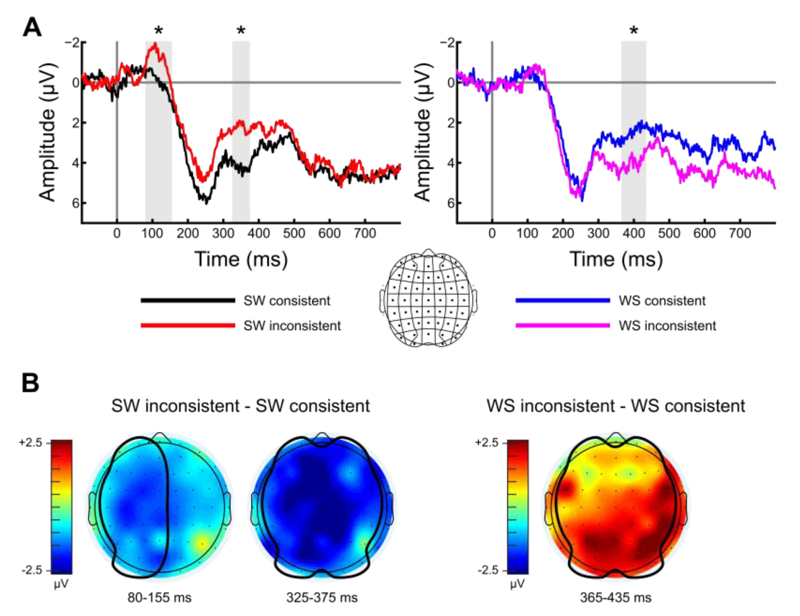 Brainsci 09 00192 g002