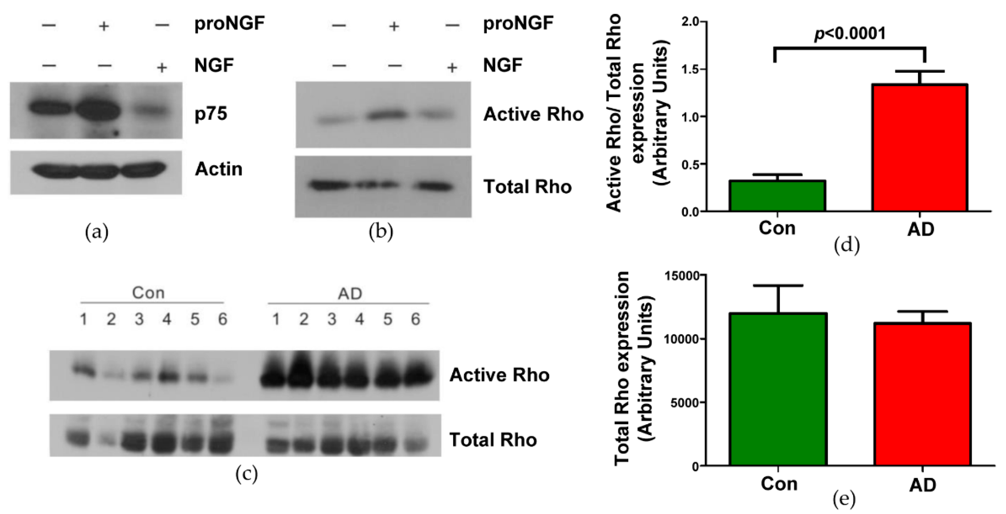 Brainsci 09 00204 g001