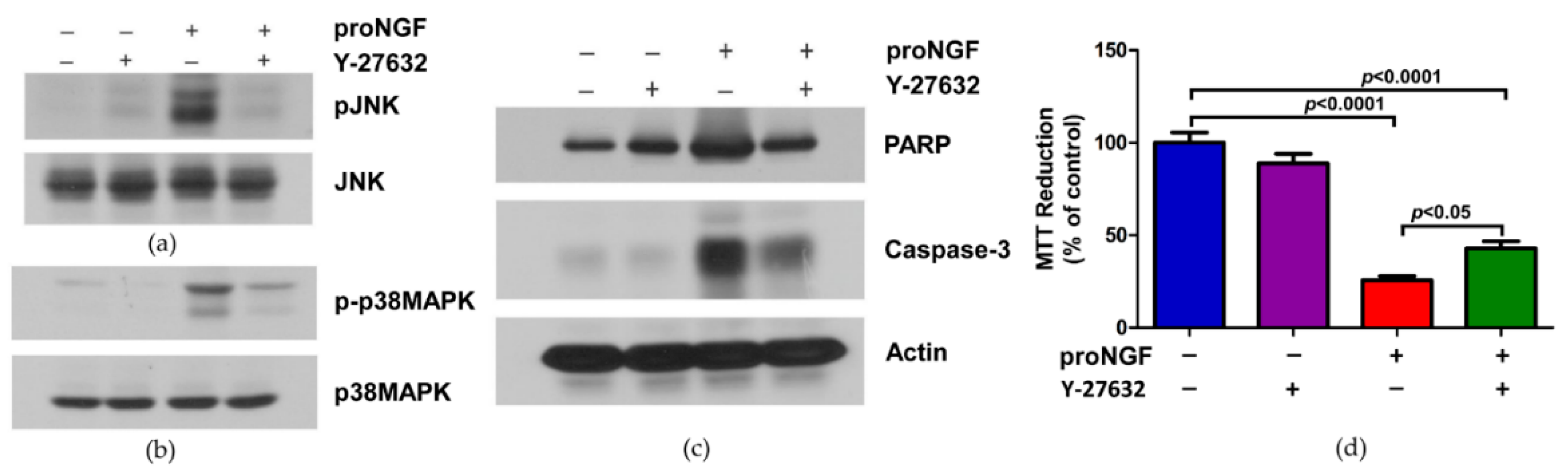 Brainsci 09 00204 g004