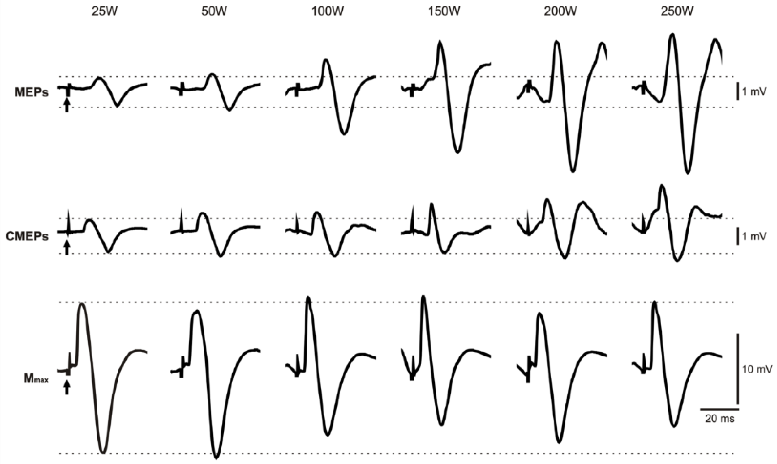 Brainsci 09 00205 g002 Brainsci 09 00205 g002