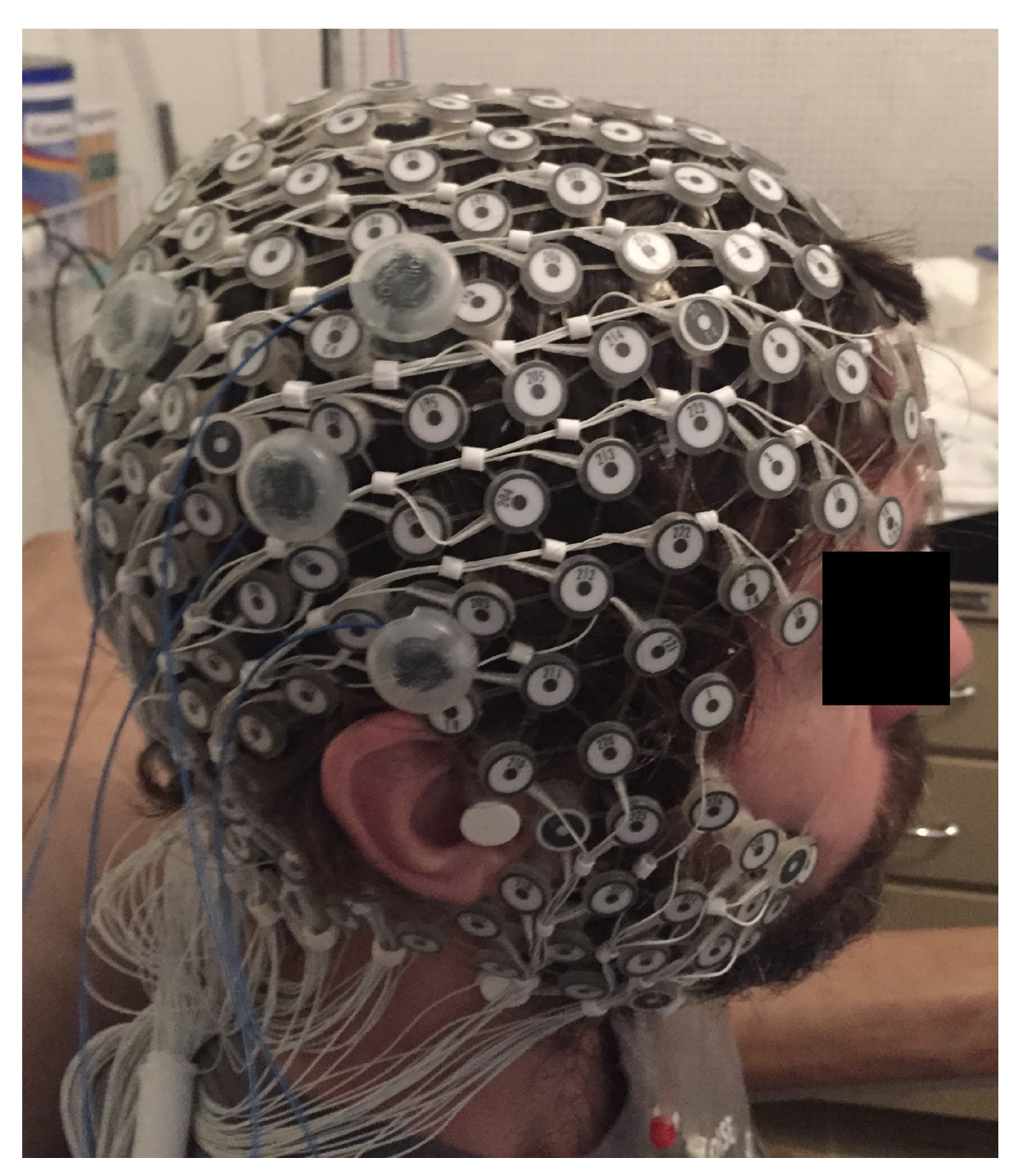 Brainsci 09 00208 g001