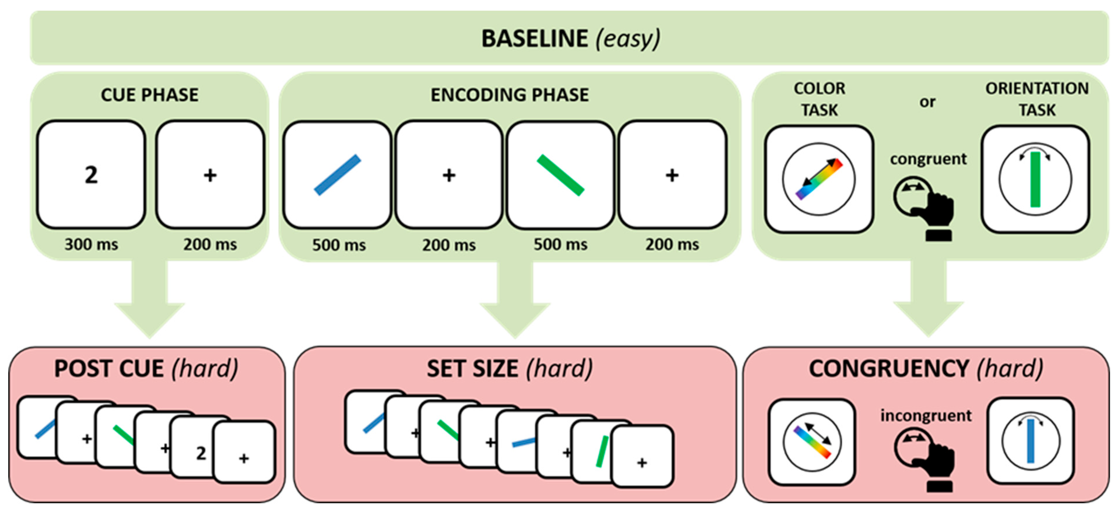 Brainsci 09 00210 g001