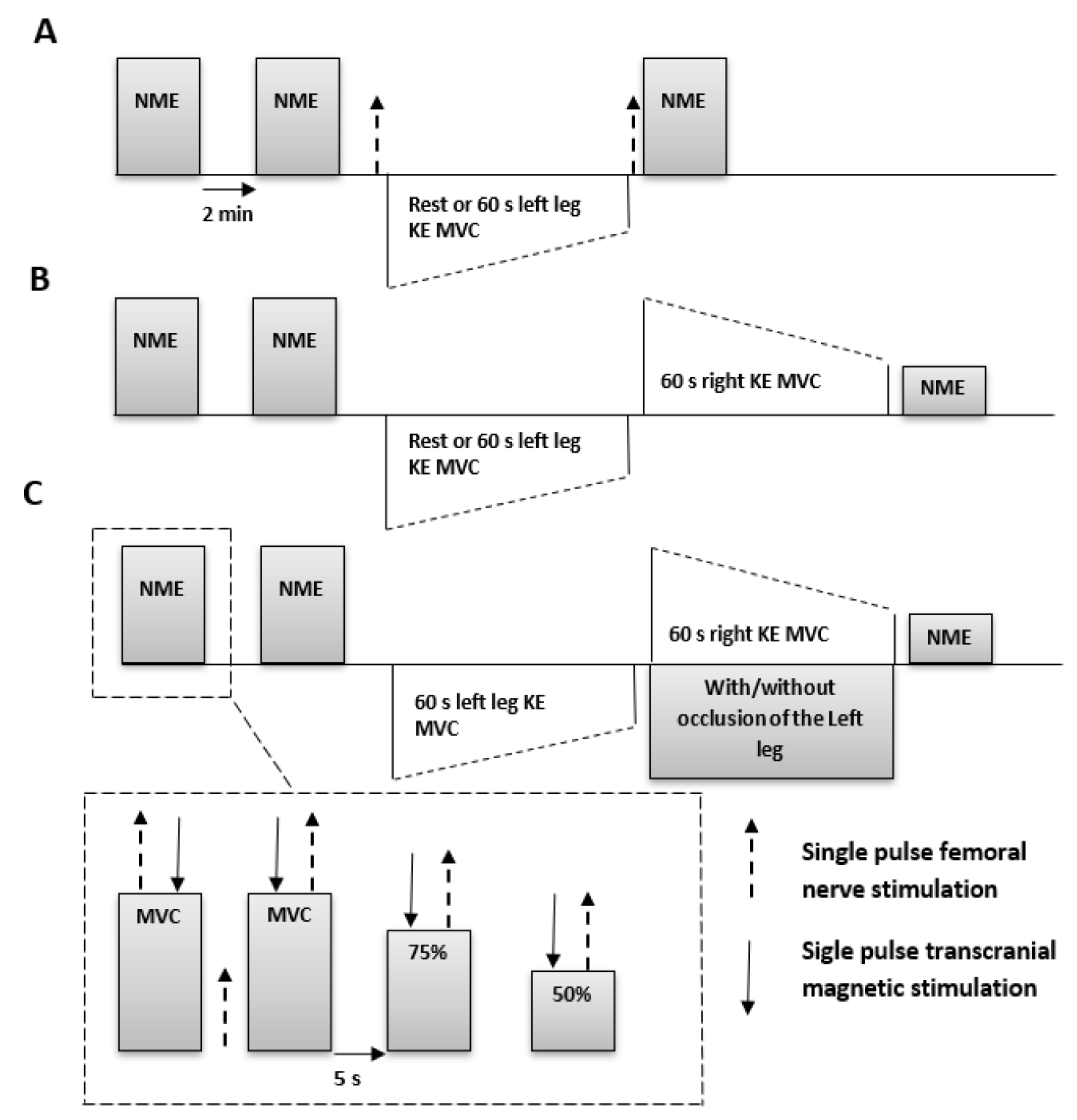 Brainsci 09 00250 g001