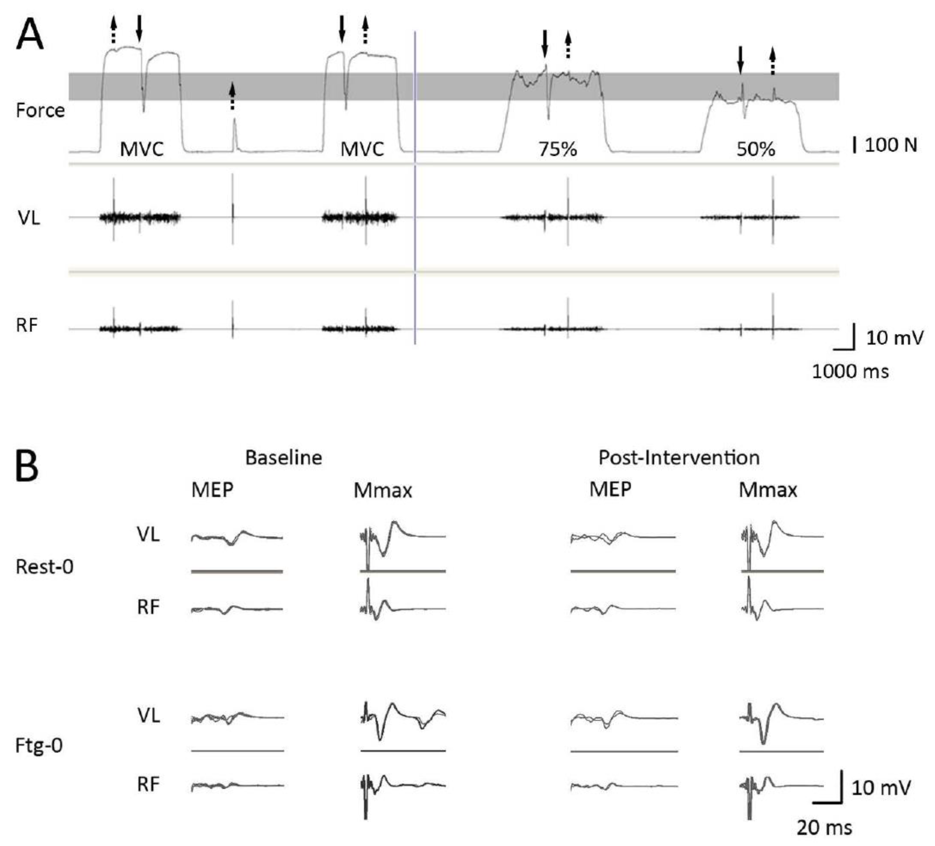 Brainsci 09 00250 g002