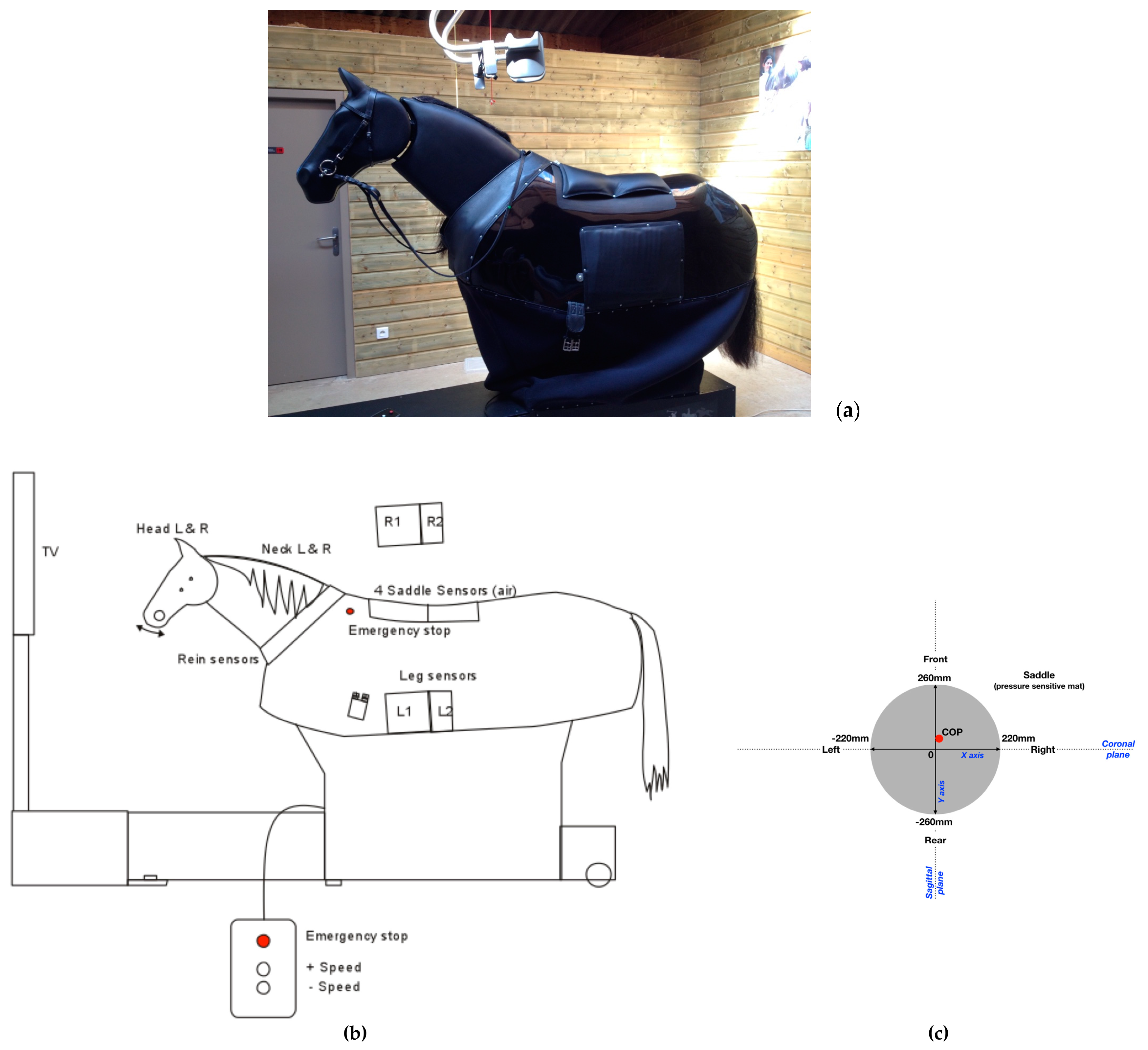 Brainsci 09 00261 g001
