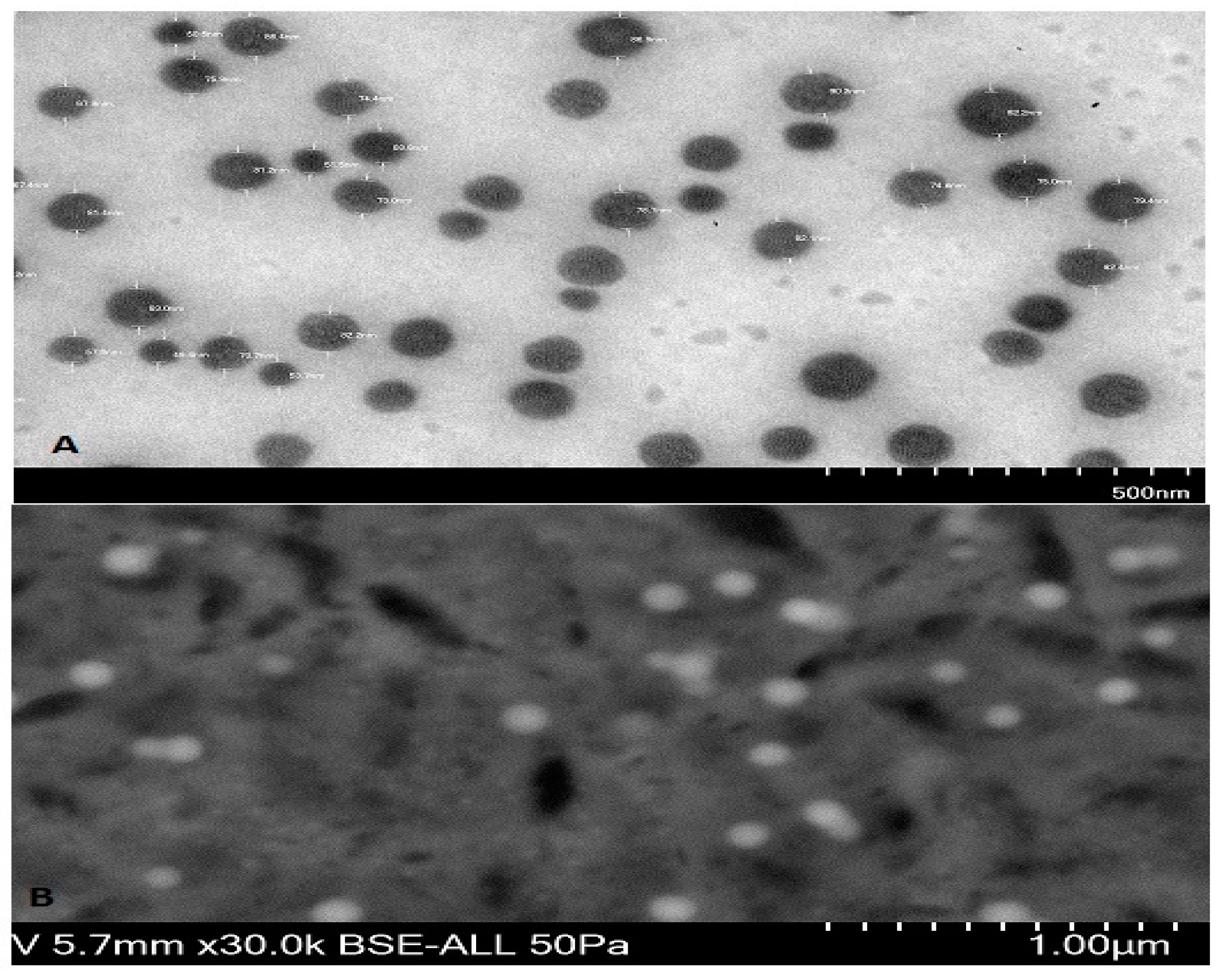 Brainsci 09 00275 g003