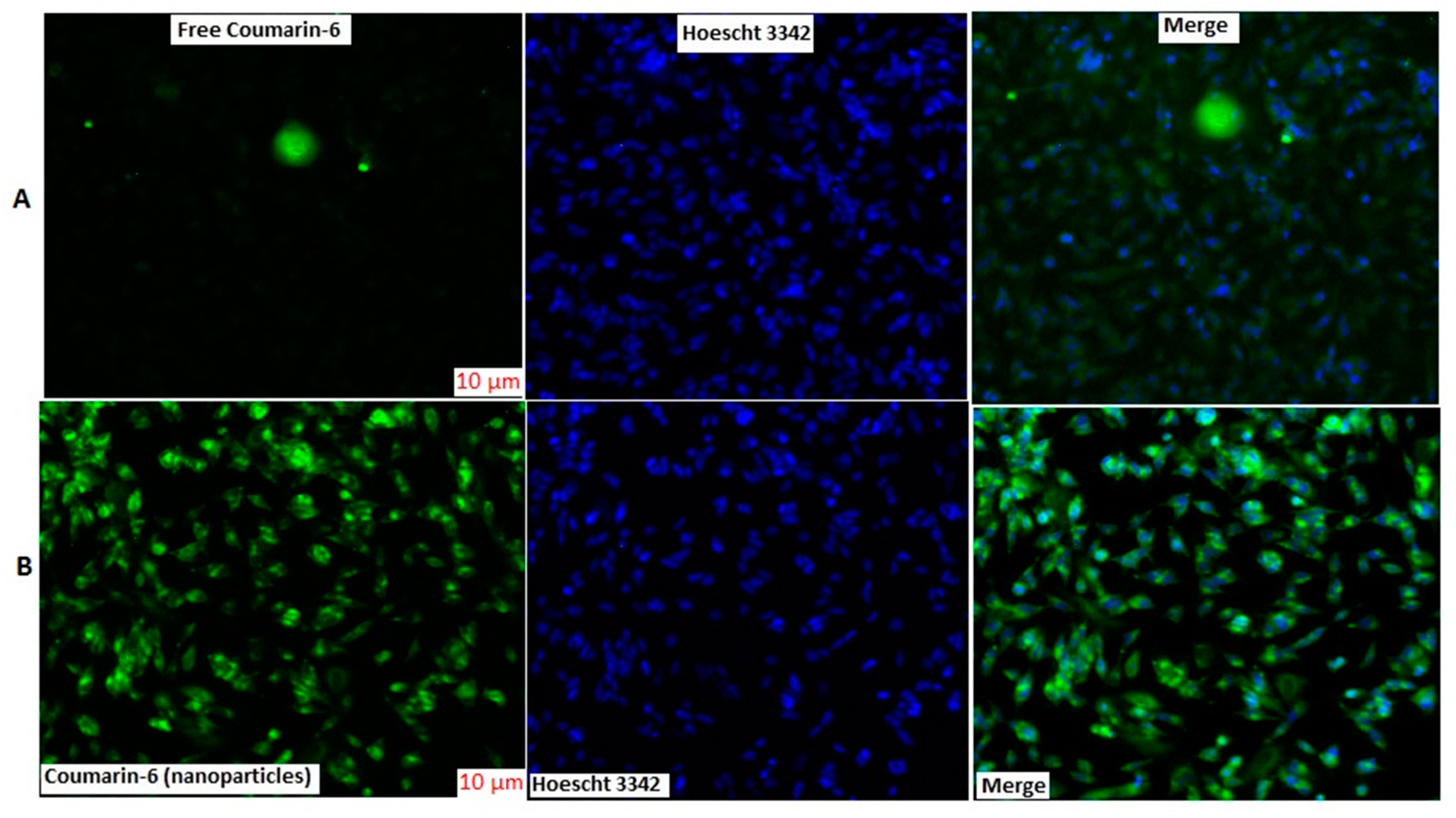 Brainsci 09 00275 g006