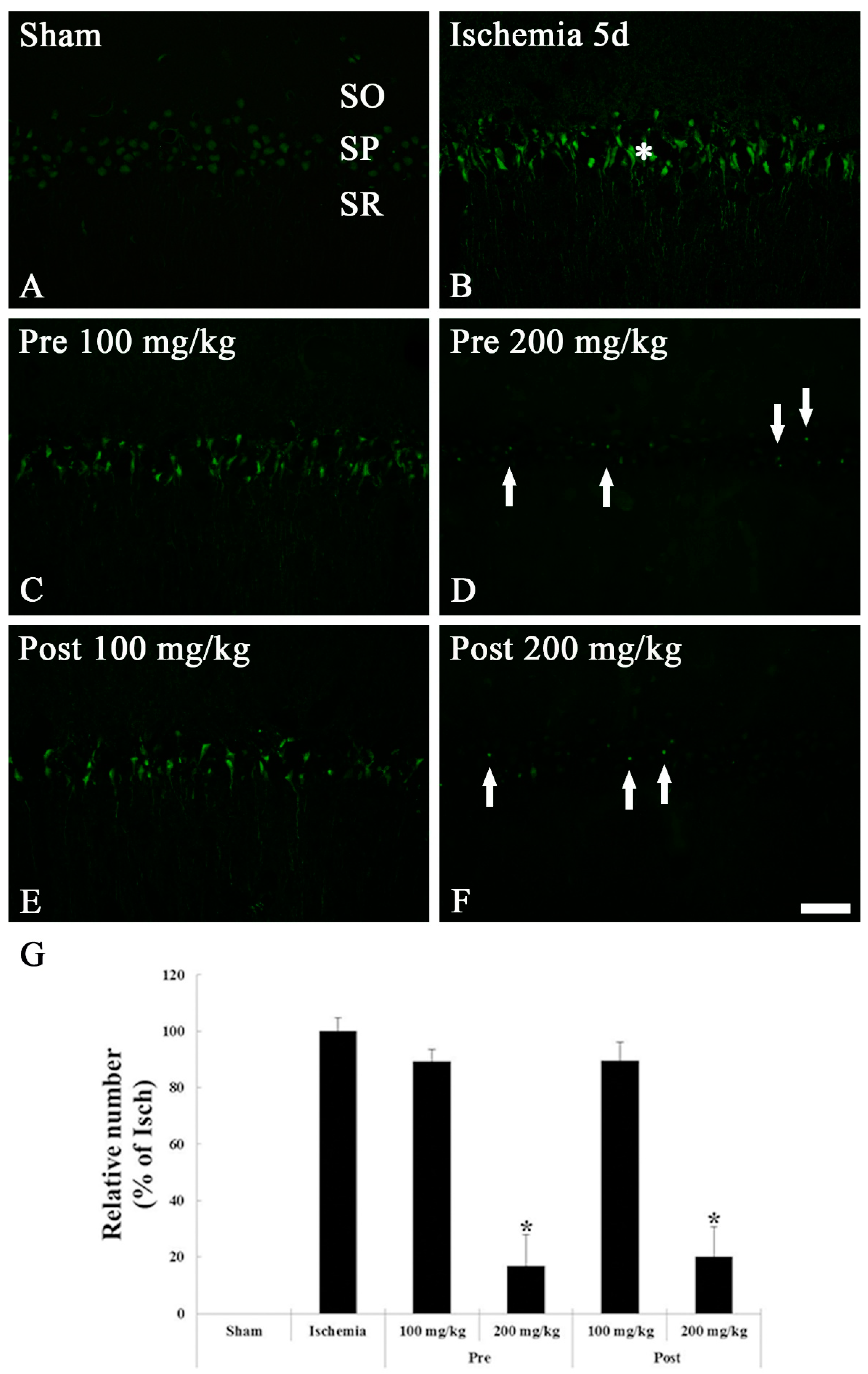 Brainsci 09 00279 g003 Brainsci 09 00279 g003