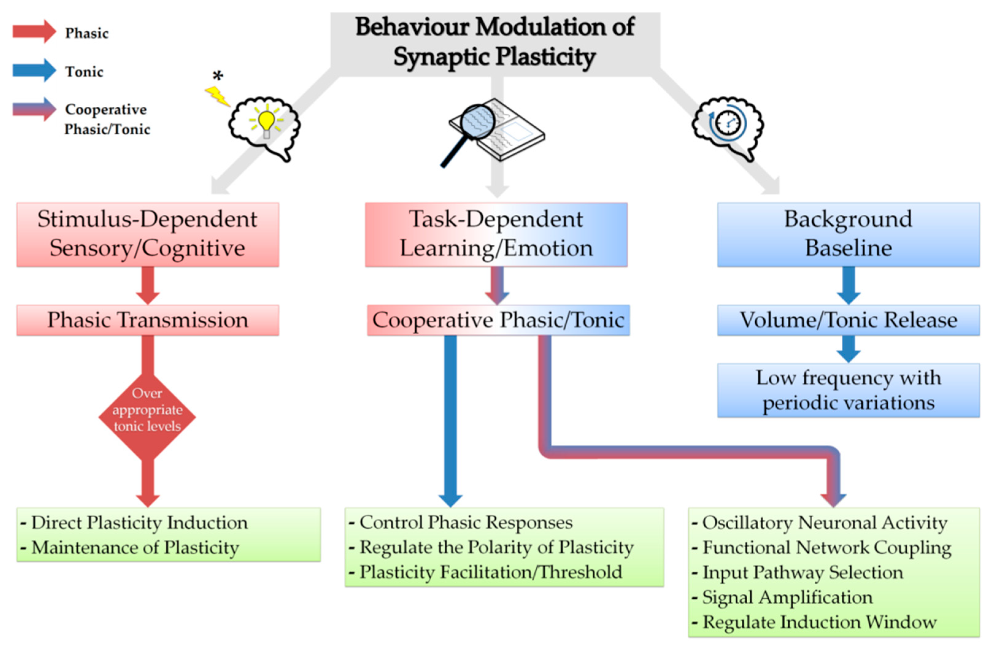Brainsci 09 00300 g003 Brainsci 09 00300 g003