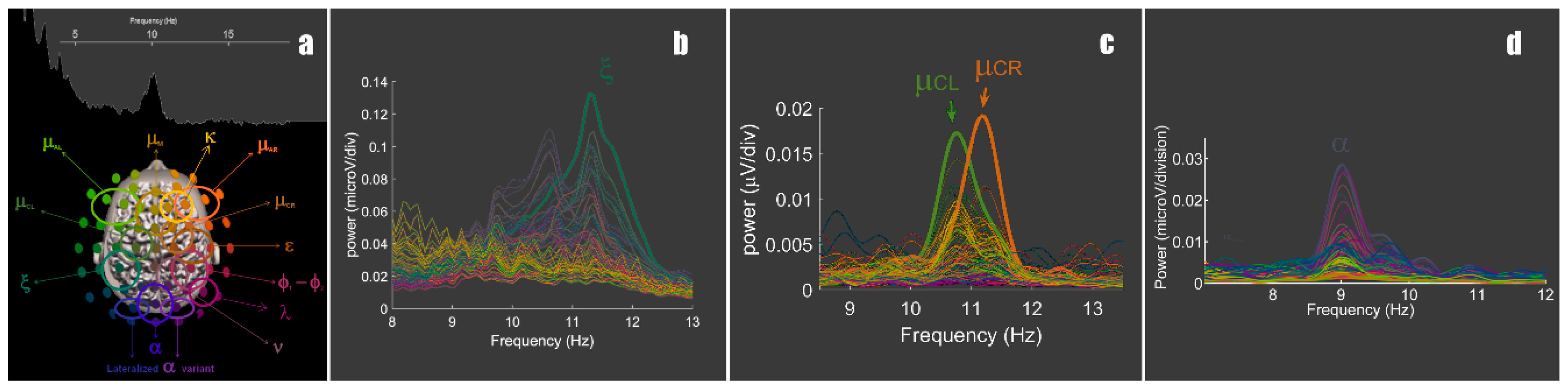 Brainsci 09 00307 g001