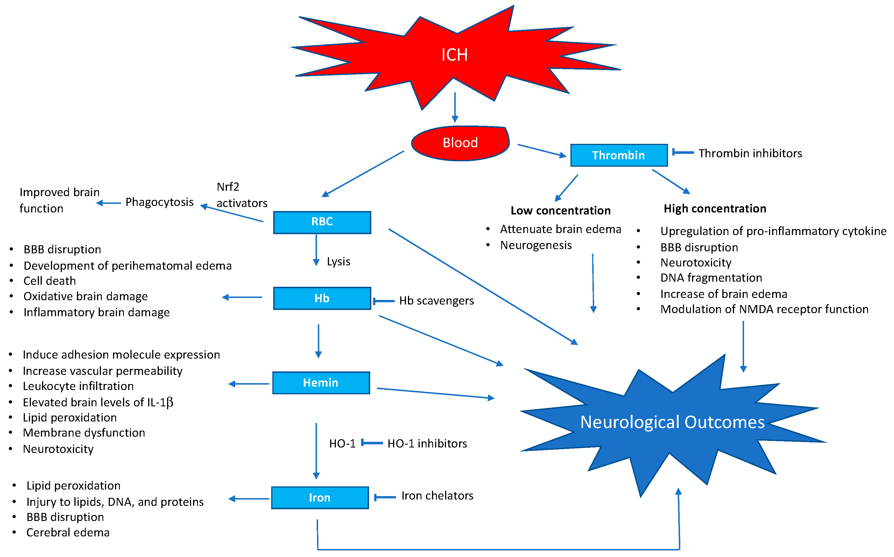 Brainsci 09 00316 g001