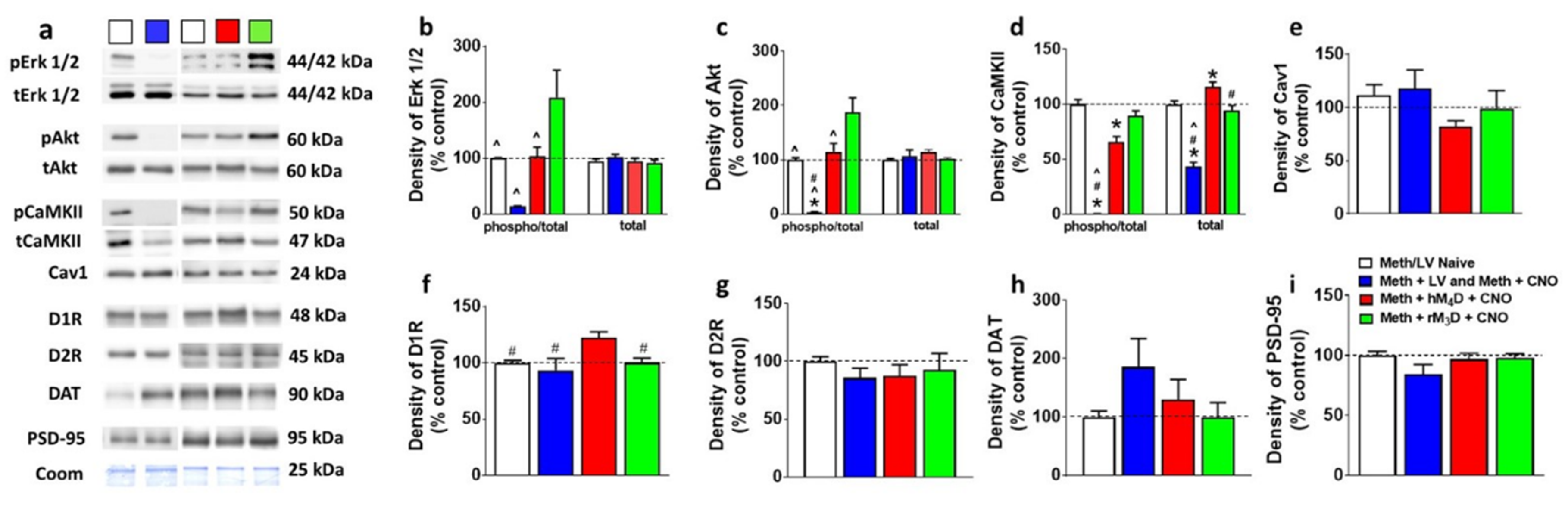 Brainsci 09 00330 g004