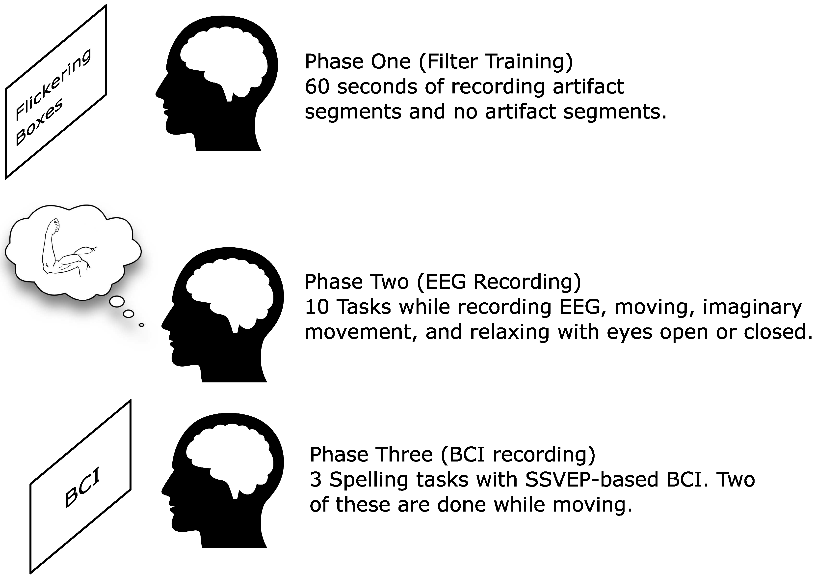 Brainsci 09 00347 g001