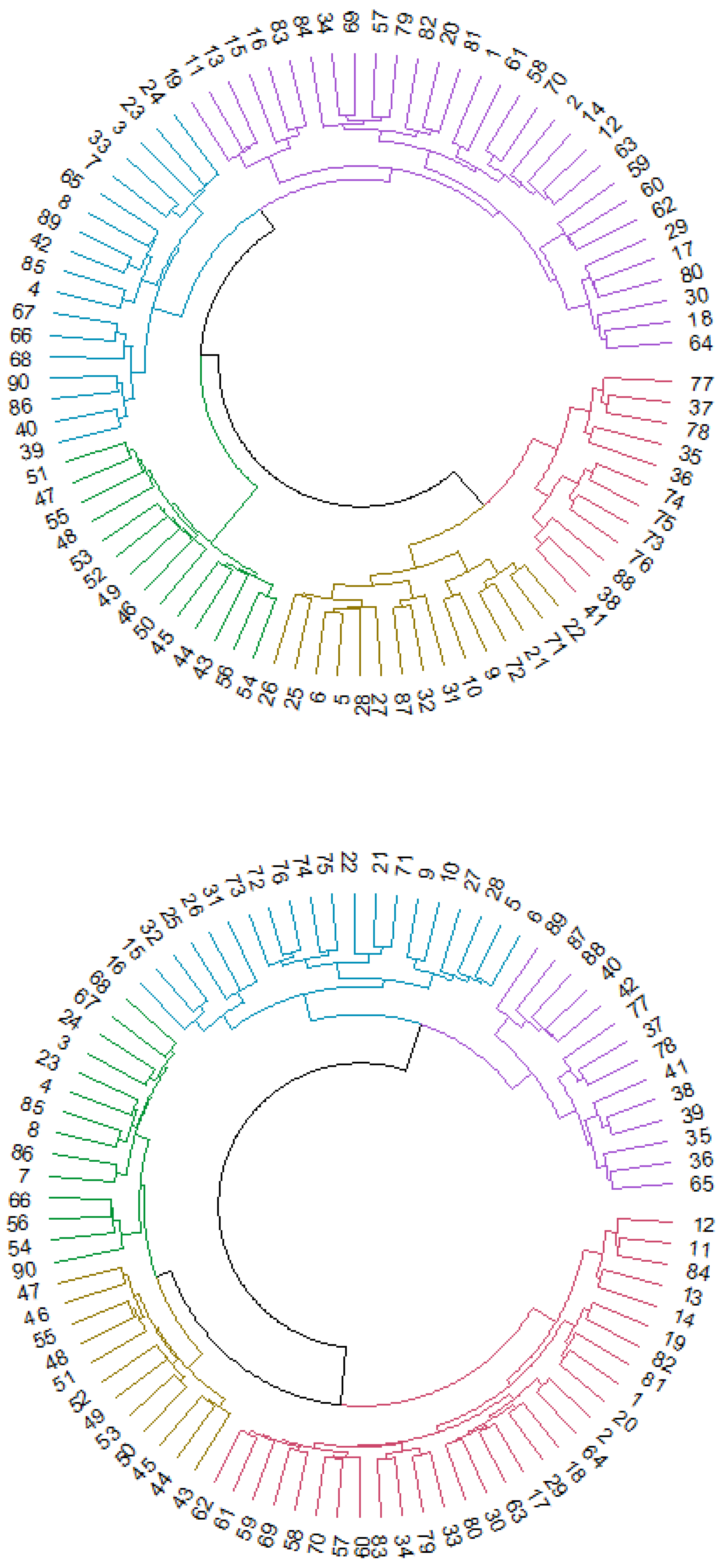 Brainsci 09 00350 g003