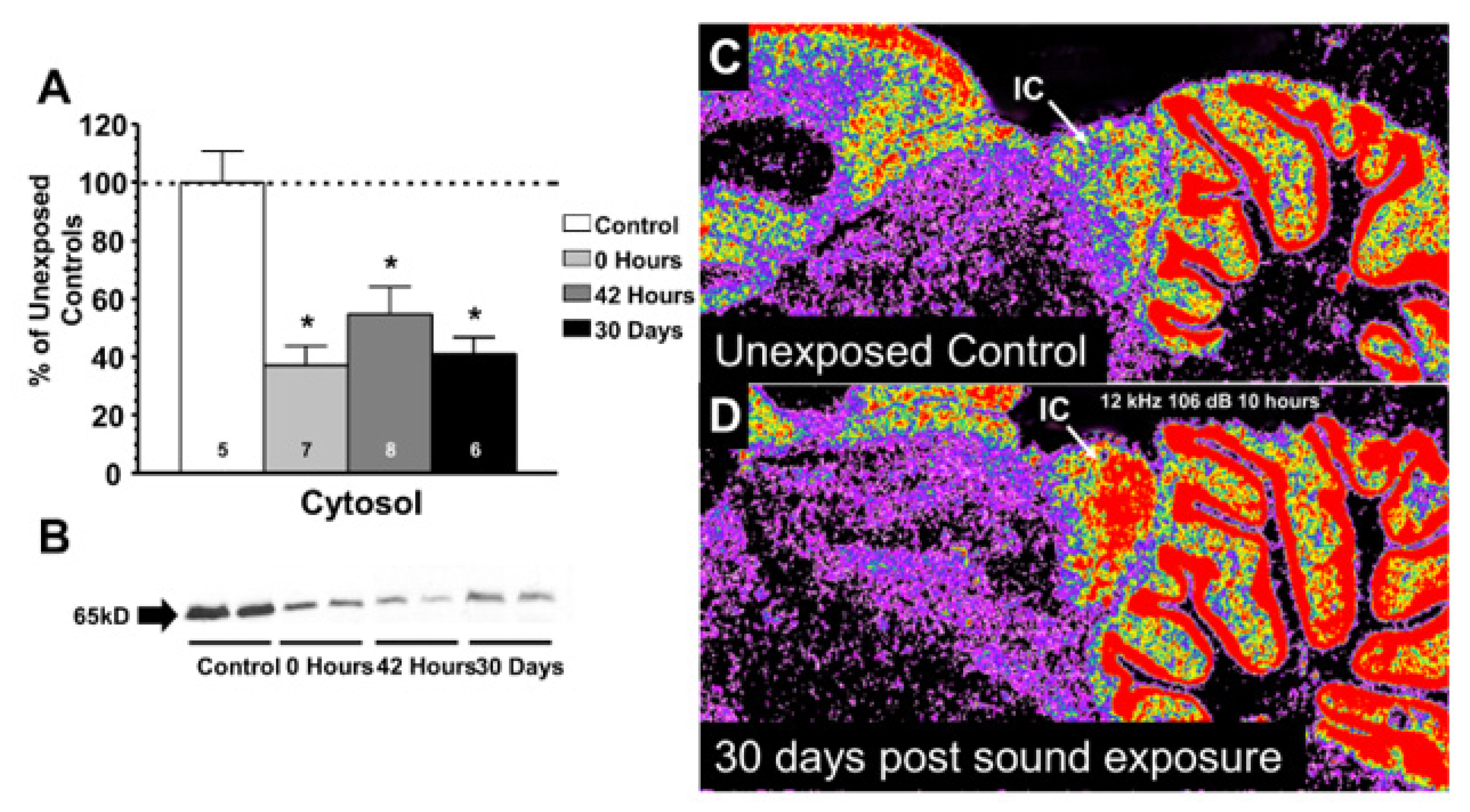 Brainsci 09 00351 g001 Brainsci 09 00351 g001