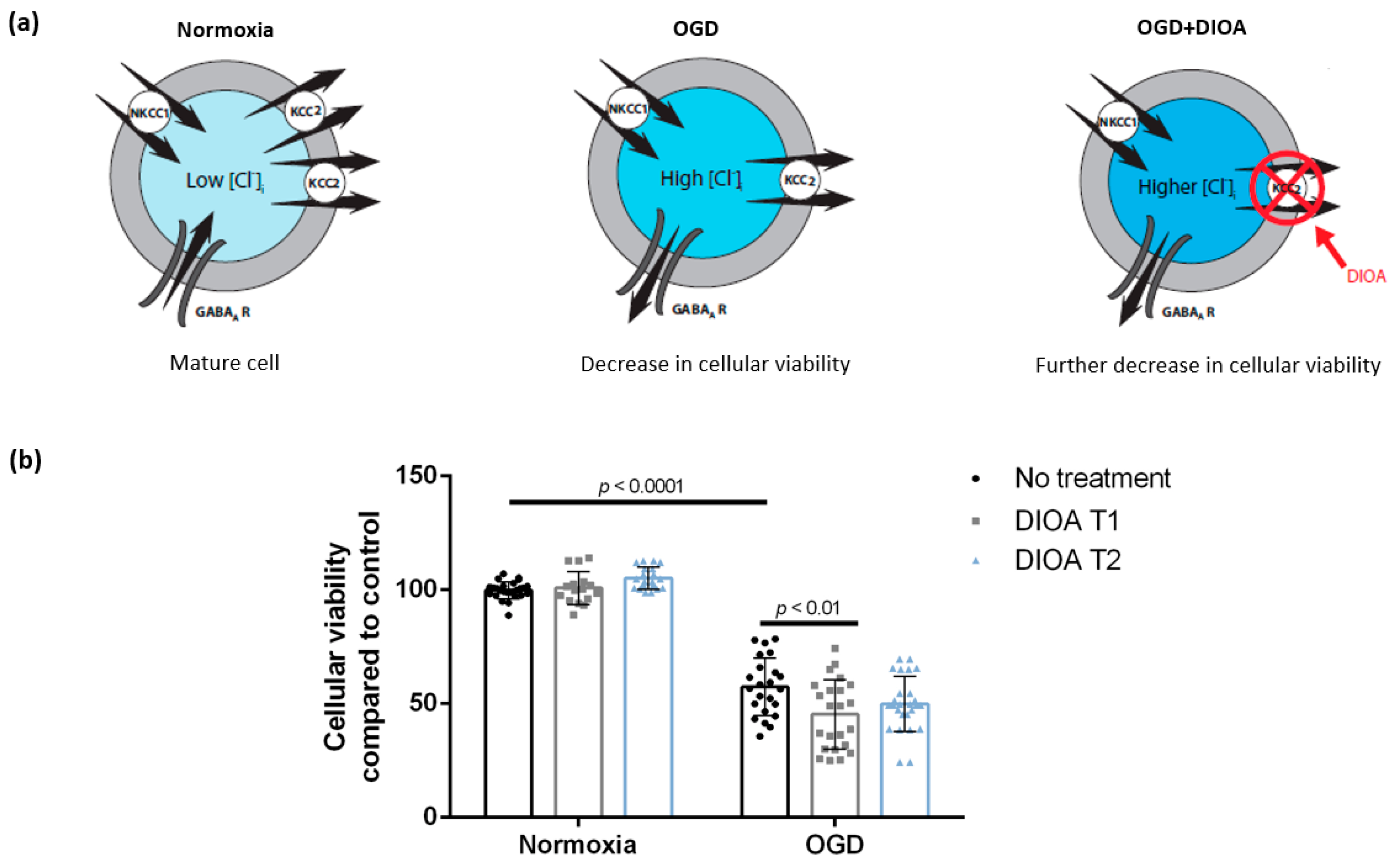 Brainsci 09 00360 g002