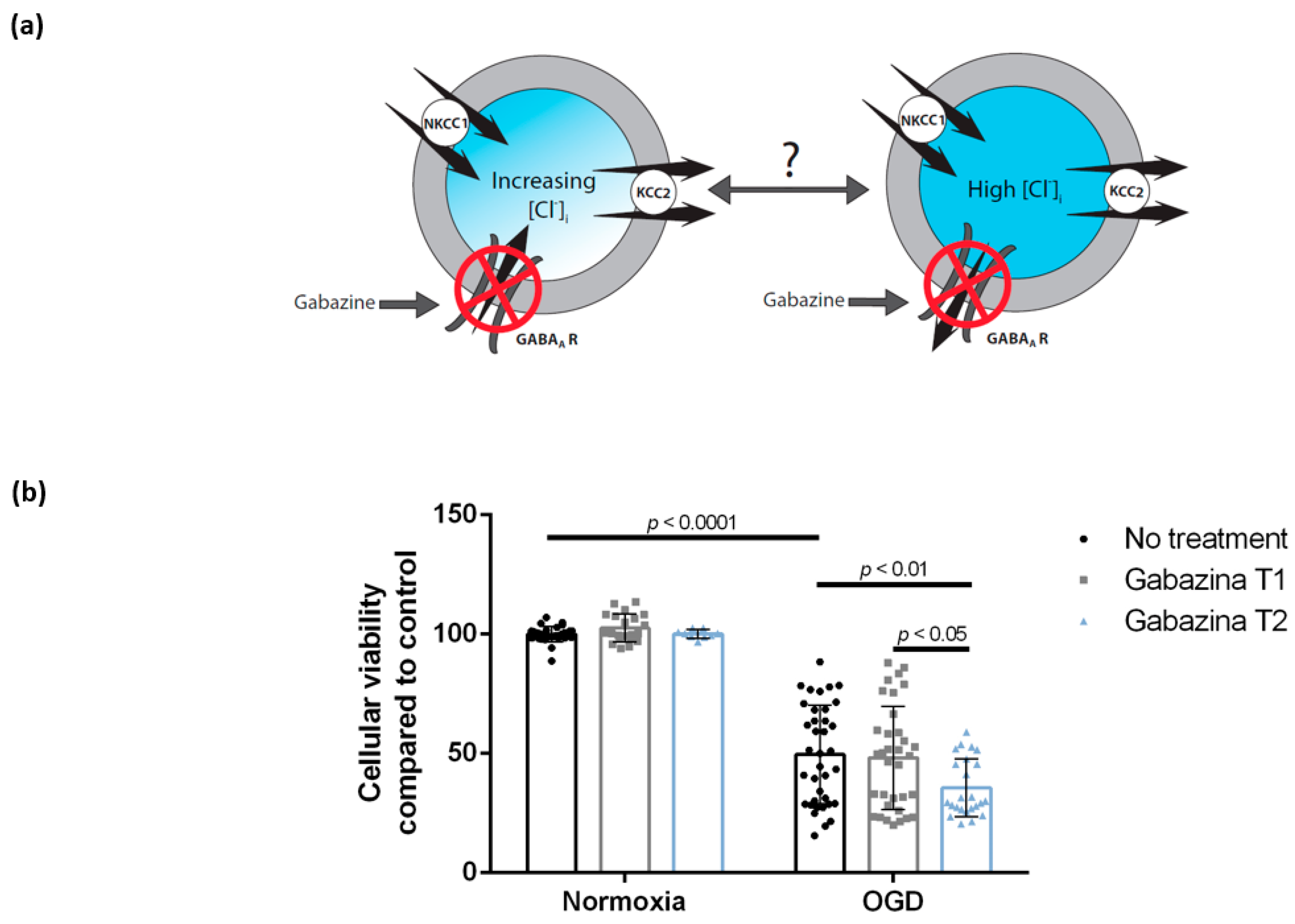 Brainsci 09 00360 g004