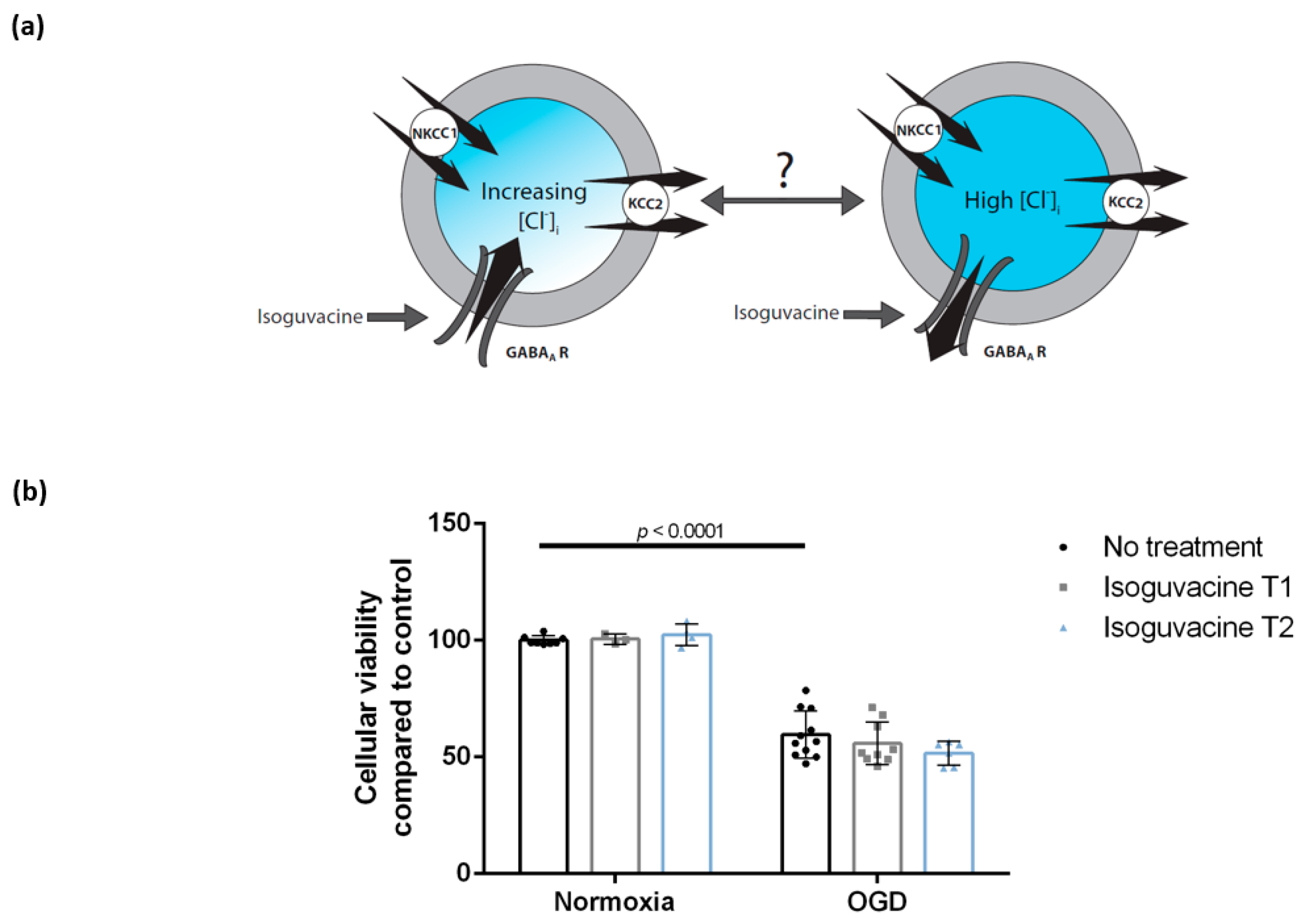 Brainsci 09 00360 g005