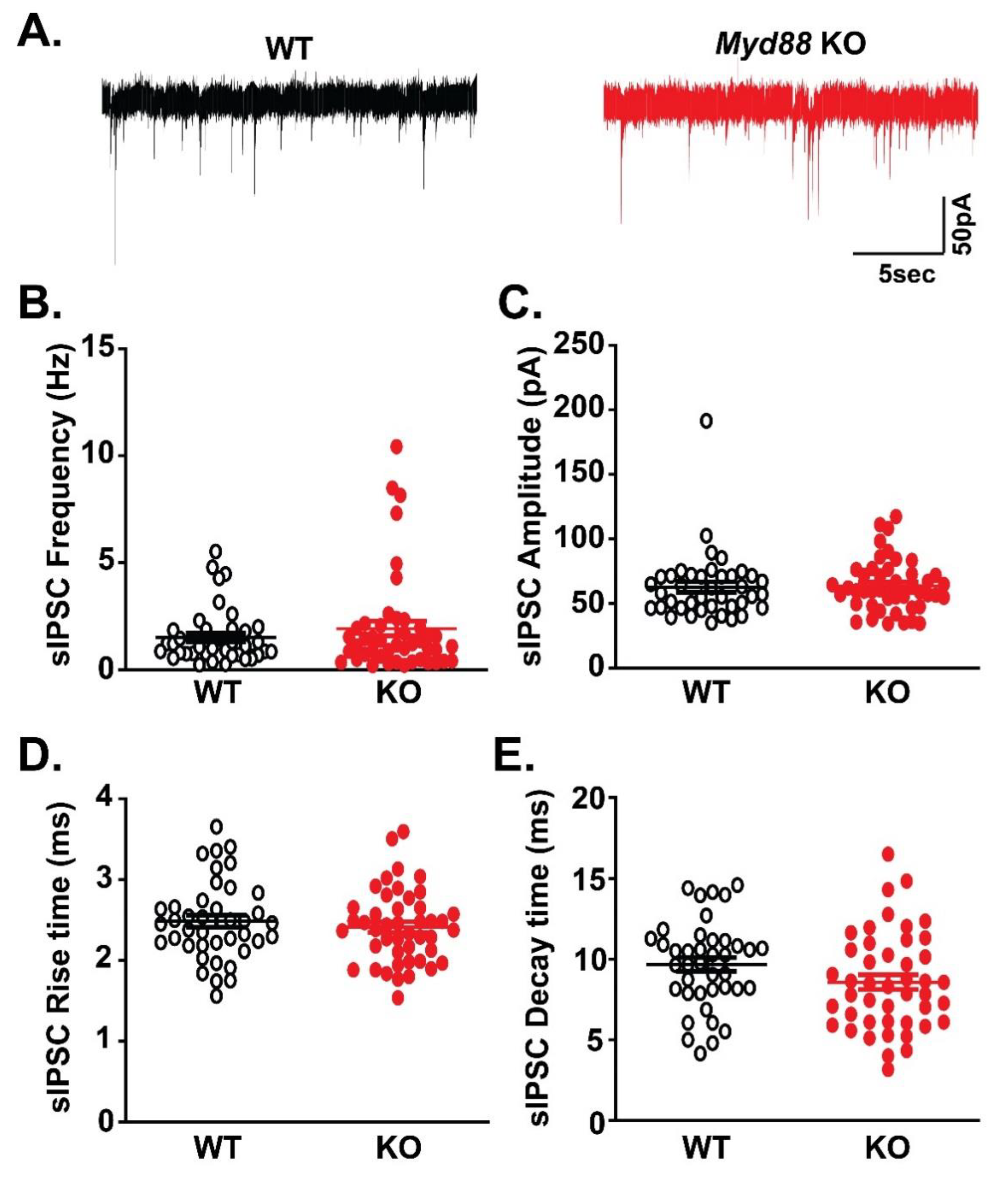 Brainsci 09 00361 g001