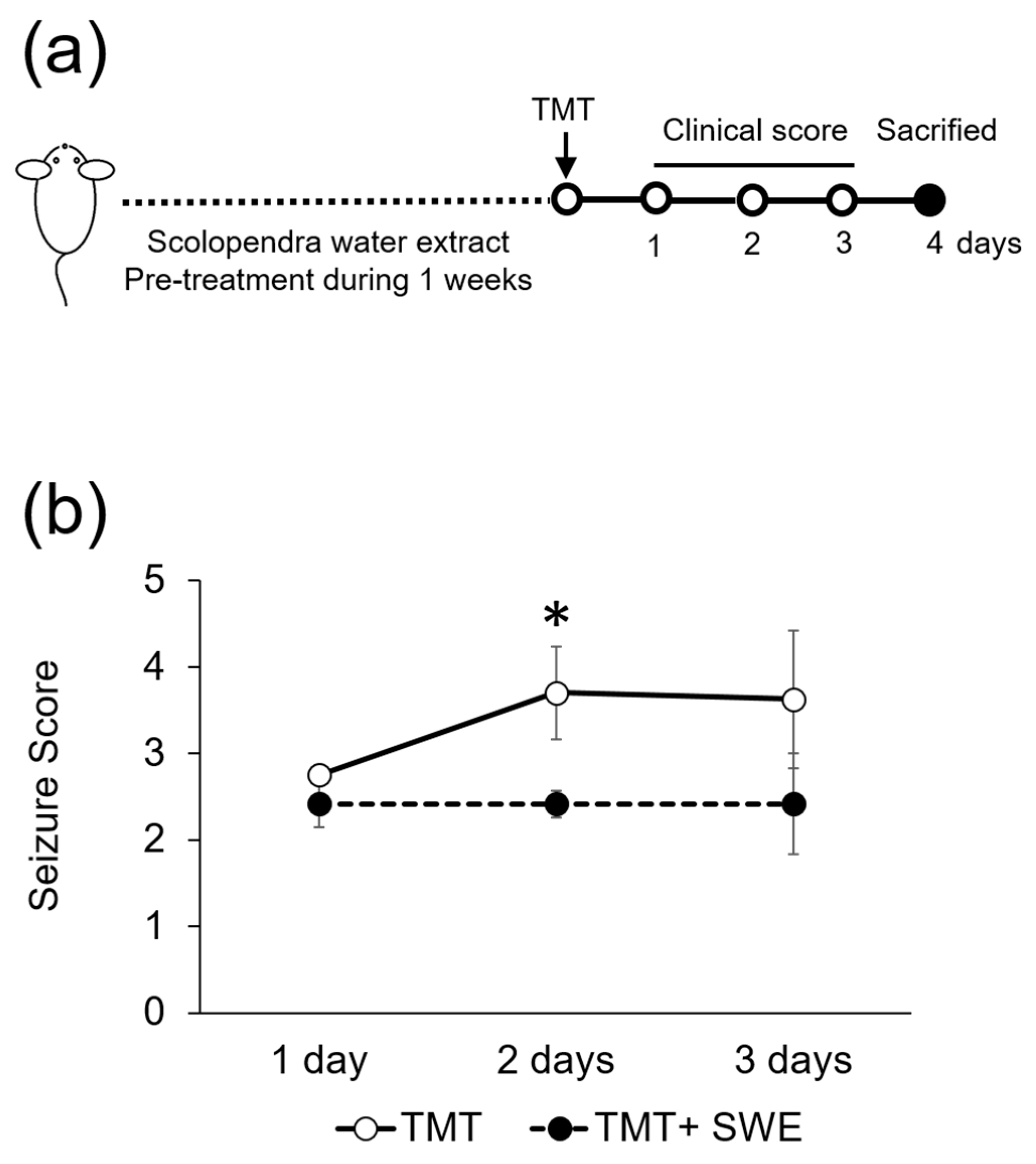 Brainsci 09 00369 g002