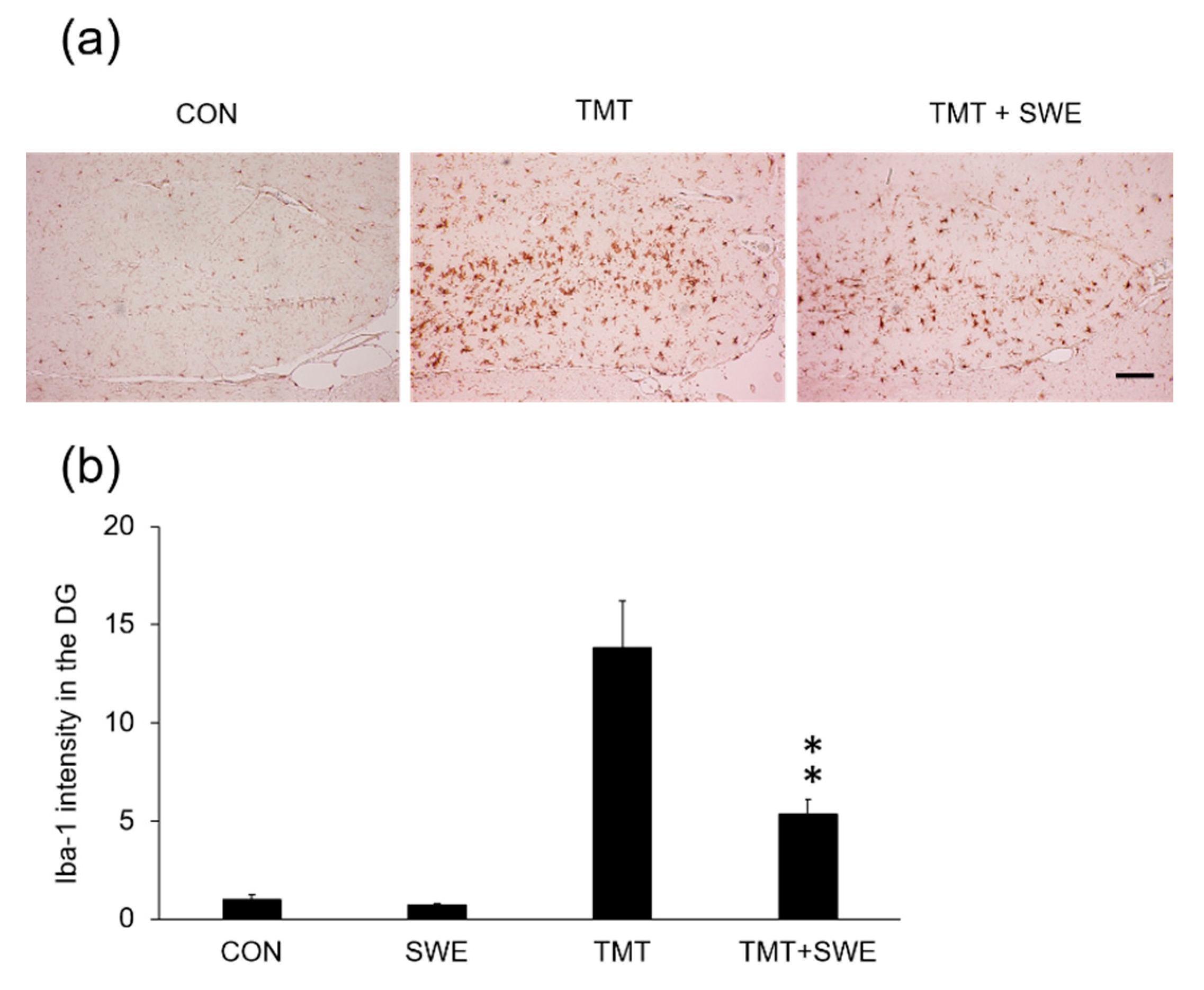 Brainsci 09 00369 g003