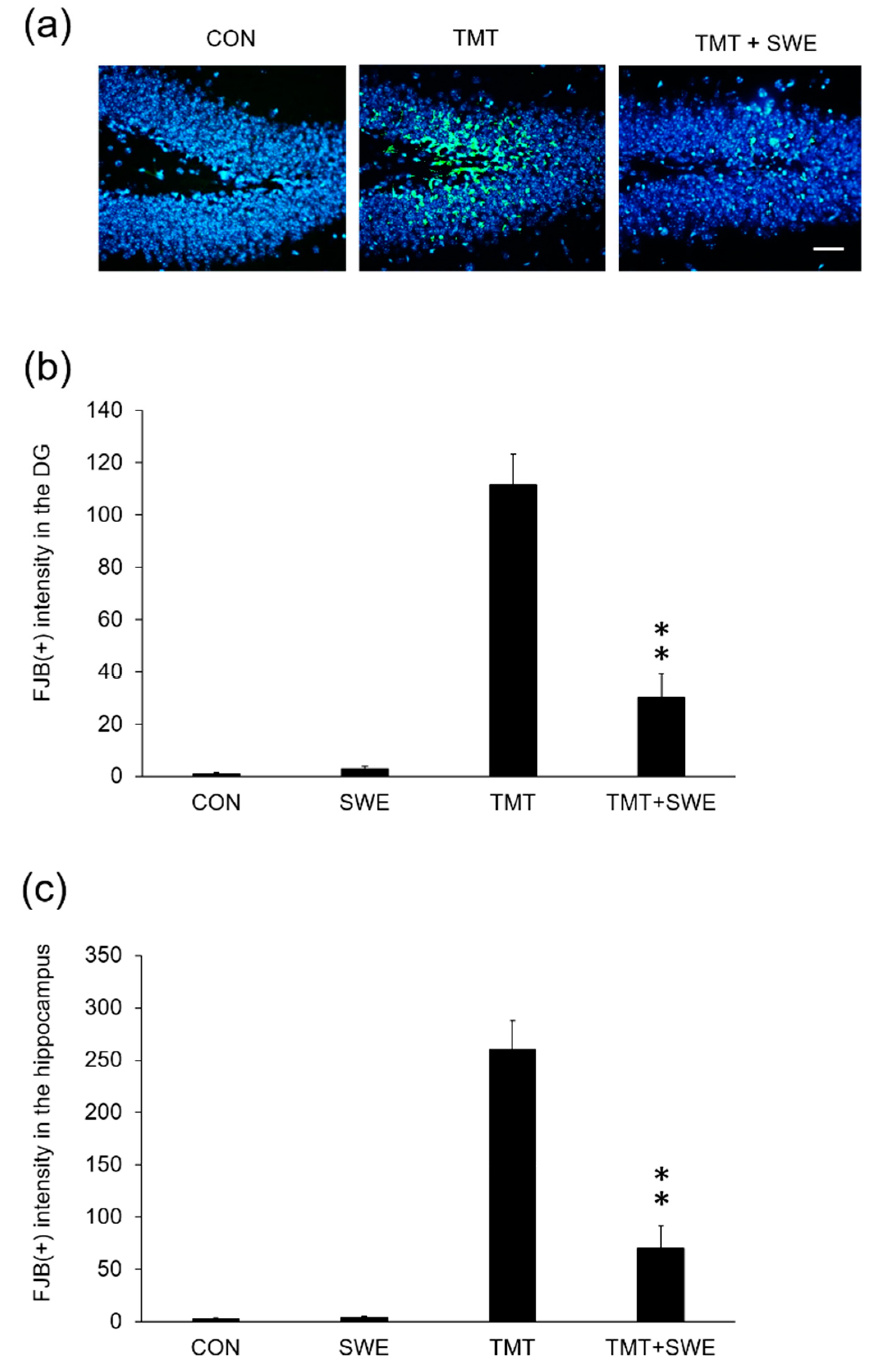 Brainsci 09 00369 g005