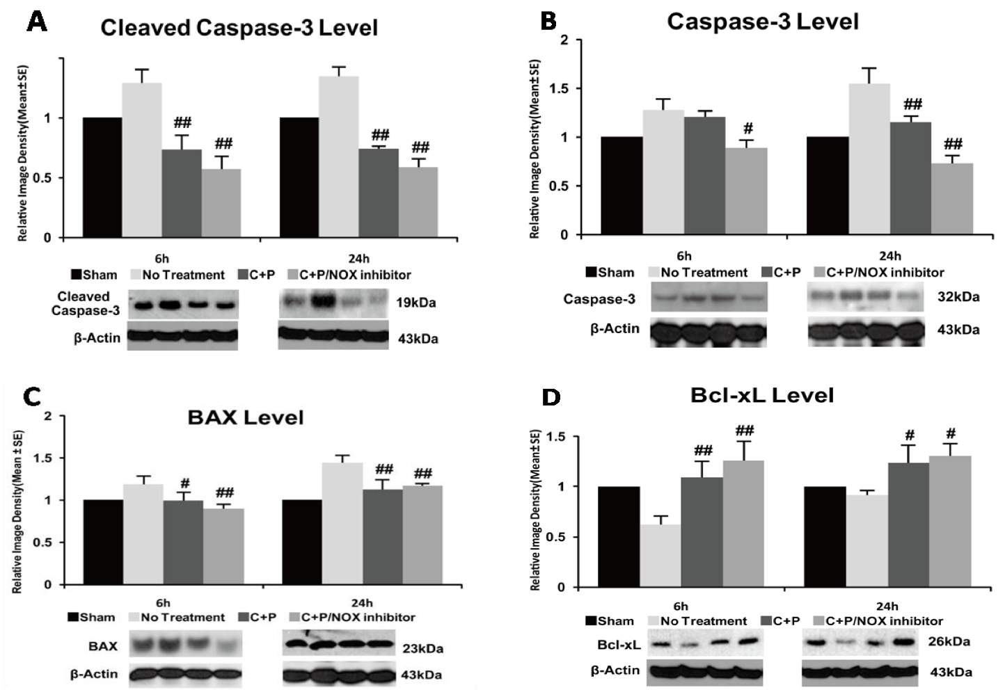 Brainsci 09 00378 g005