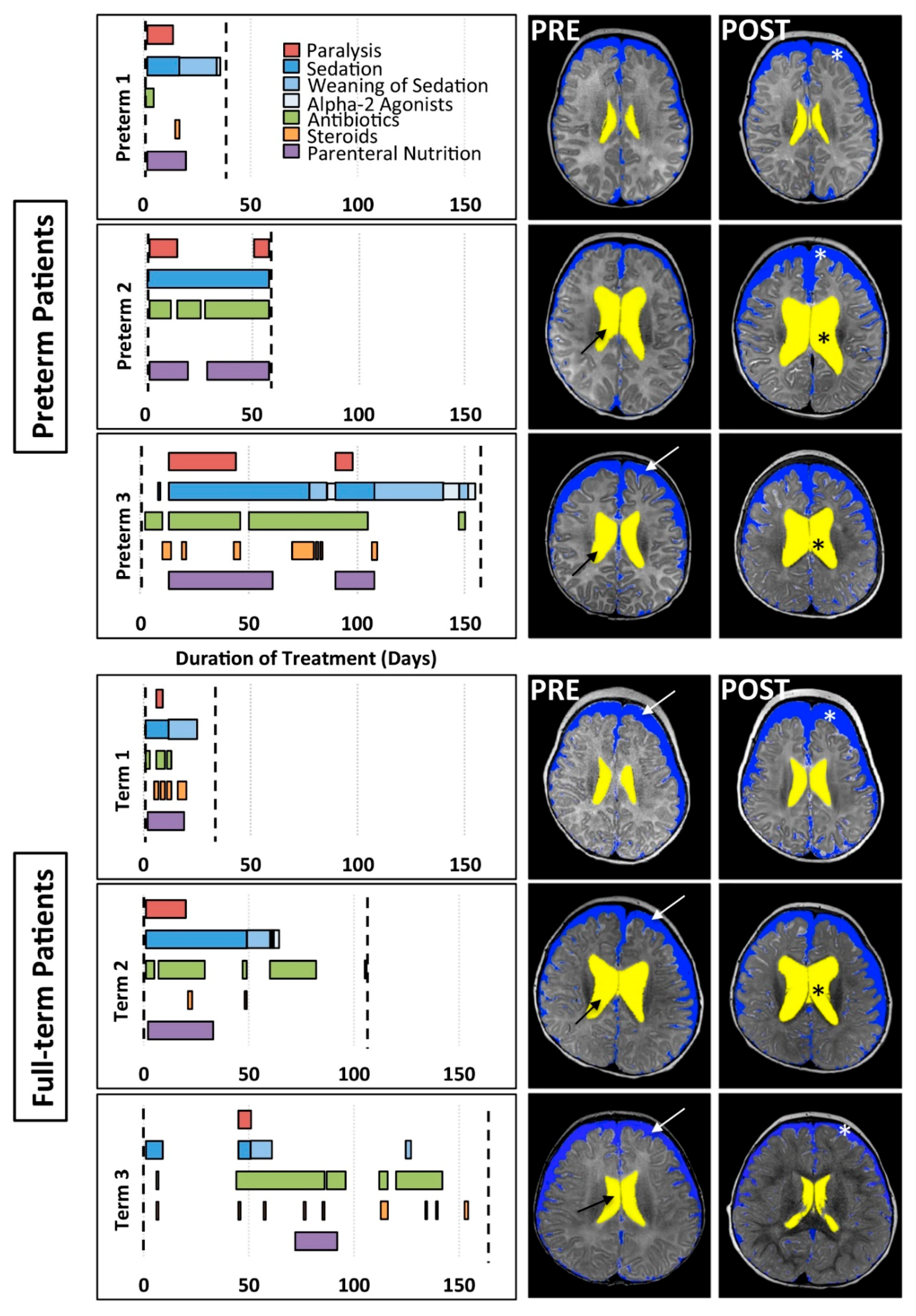 Brainsci 09 00383 g001