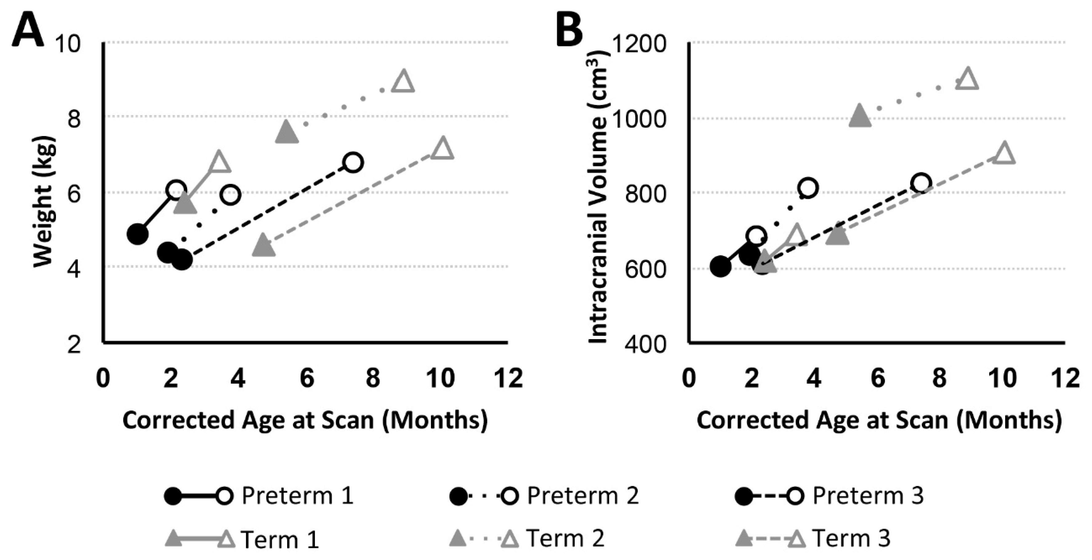 Brainsci 09 00383 g002
