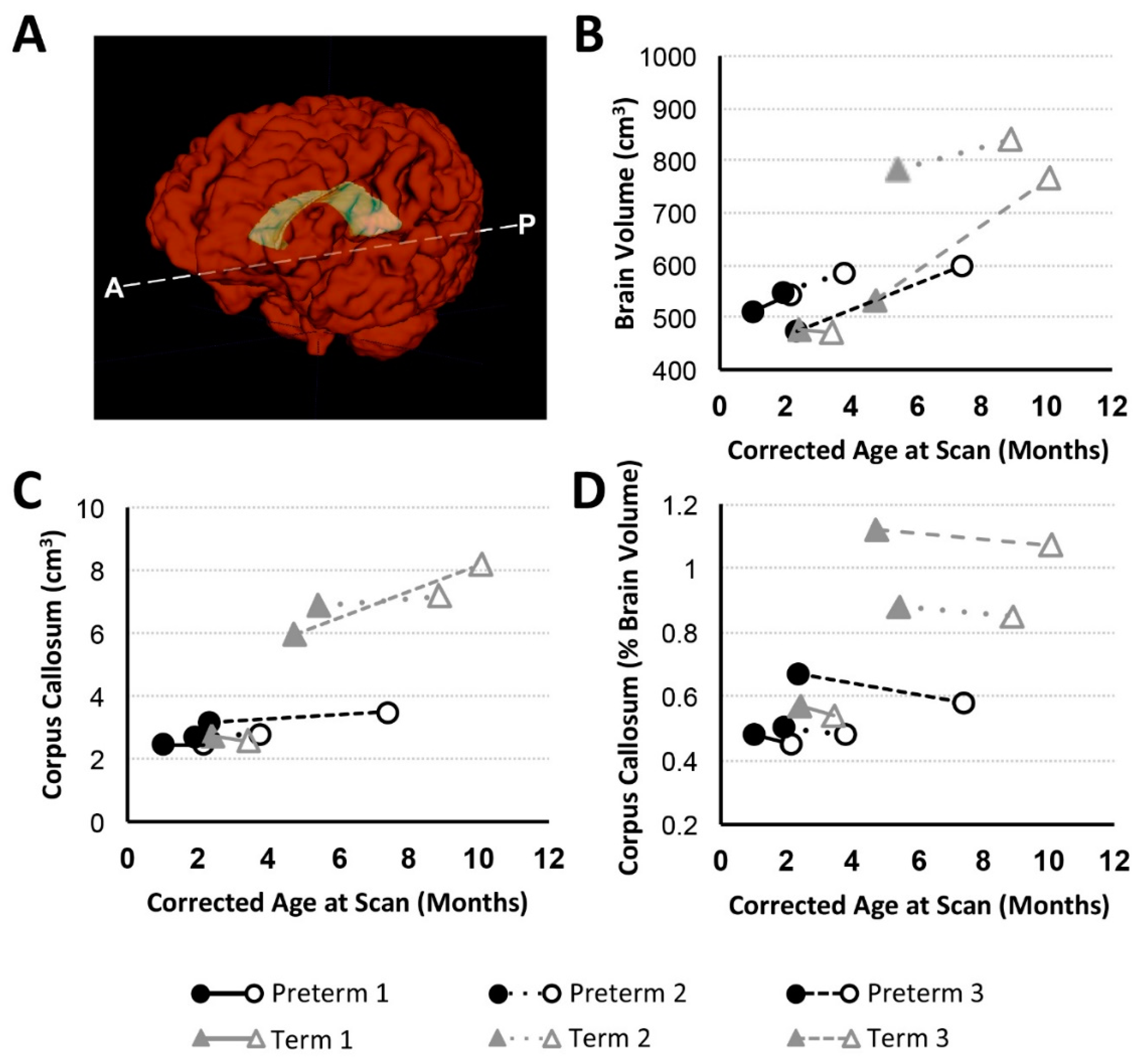 Brainsci 09 00383 g005