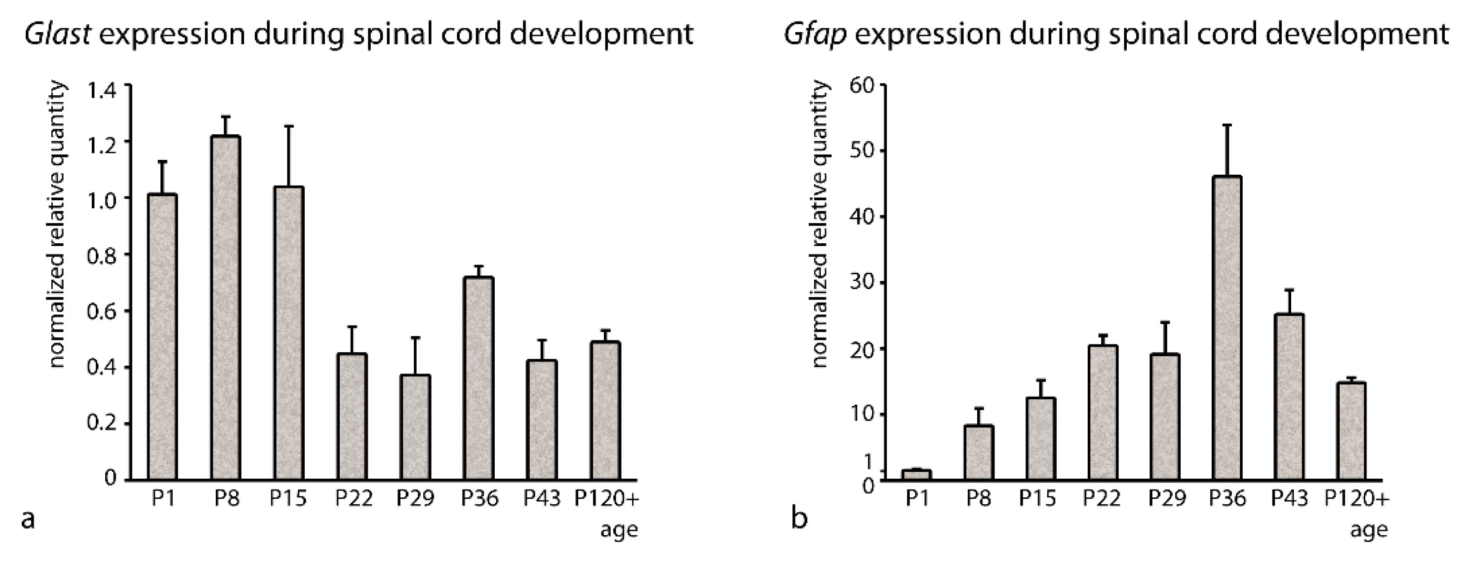Brainsci 10 00006 g002