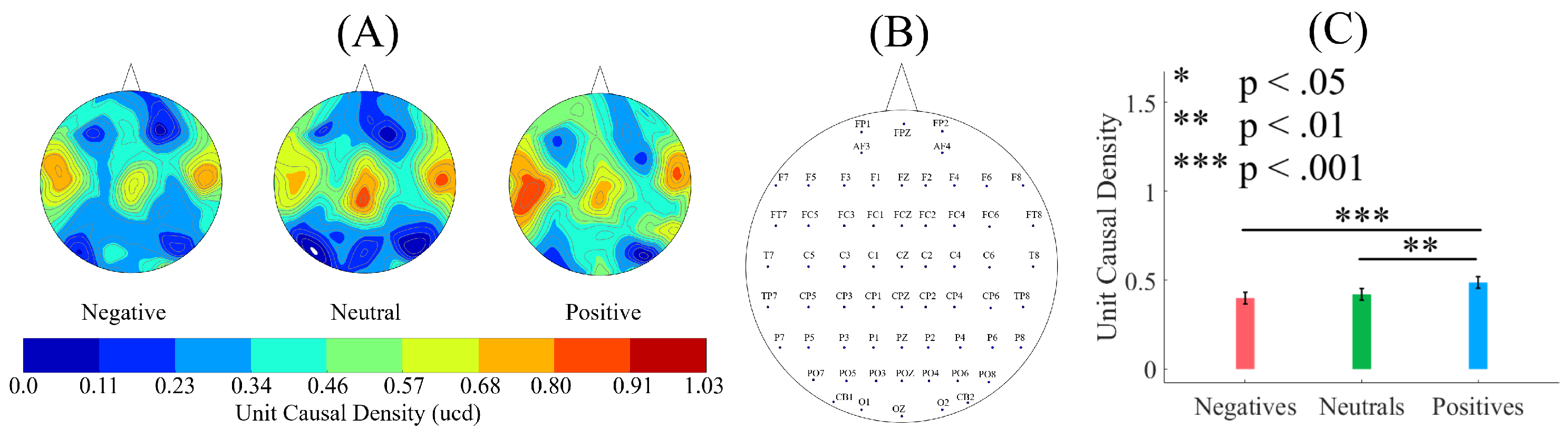Brainsci 10 00008 g003 Brainsci 10 00008 g003