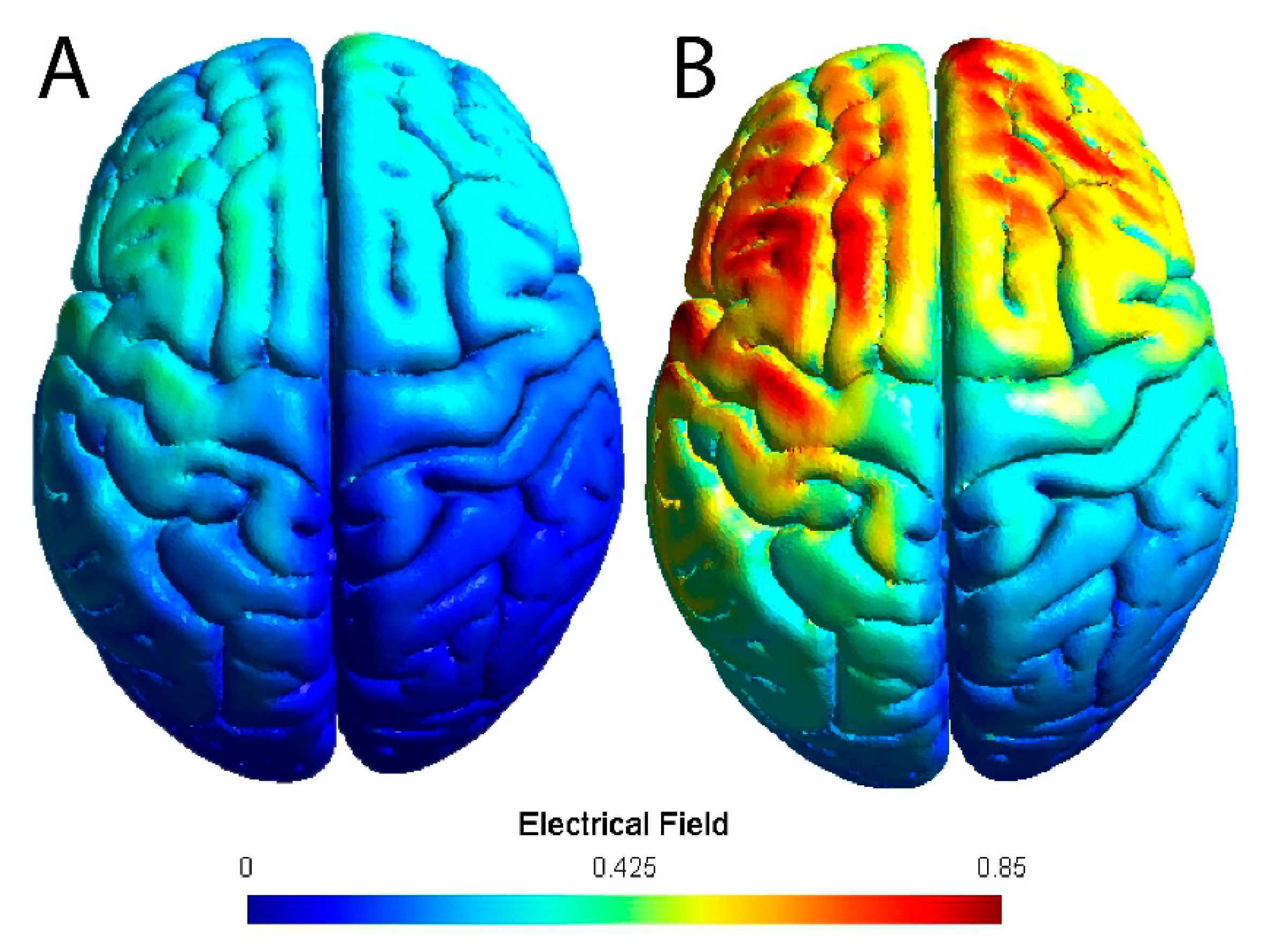 Brainsci 10 00012 g001 Brainsci 10 00012 g001