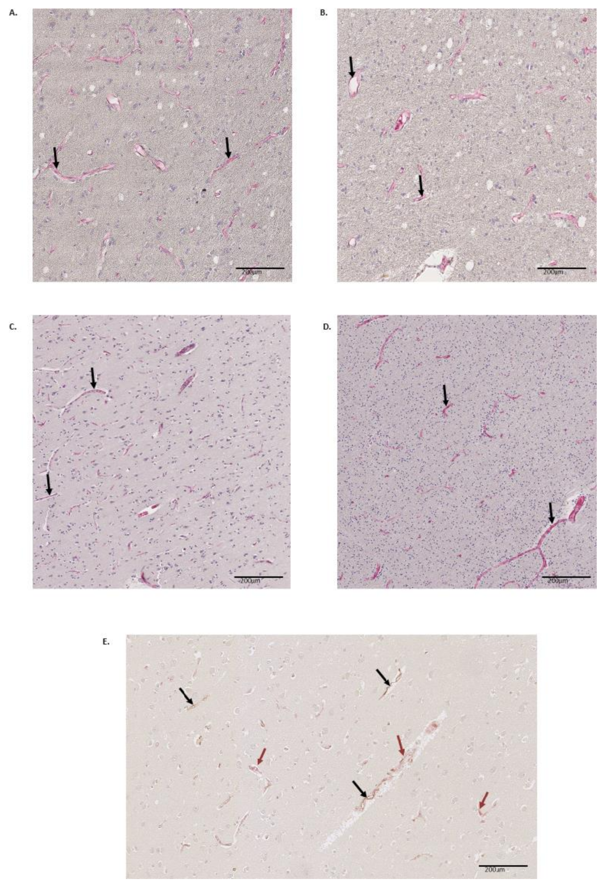 Brainsci 10 00031 g001 Brainsci 10 00031 g001
