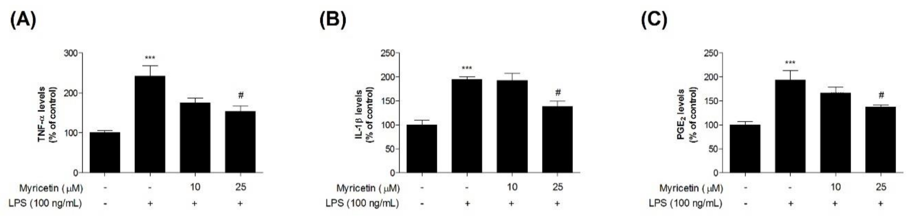 Brainsci 10 00032 g004