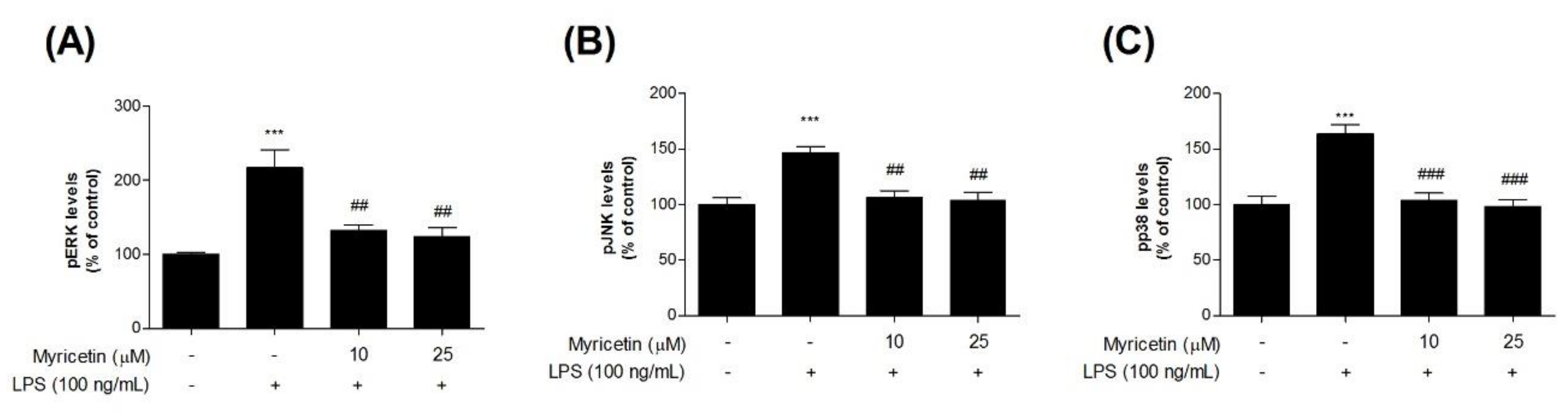 Brainsci 10 00032 g005