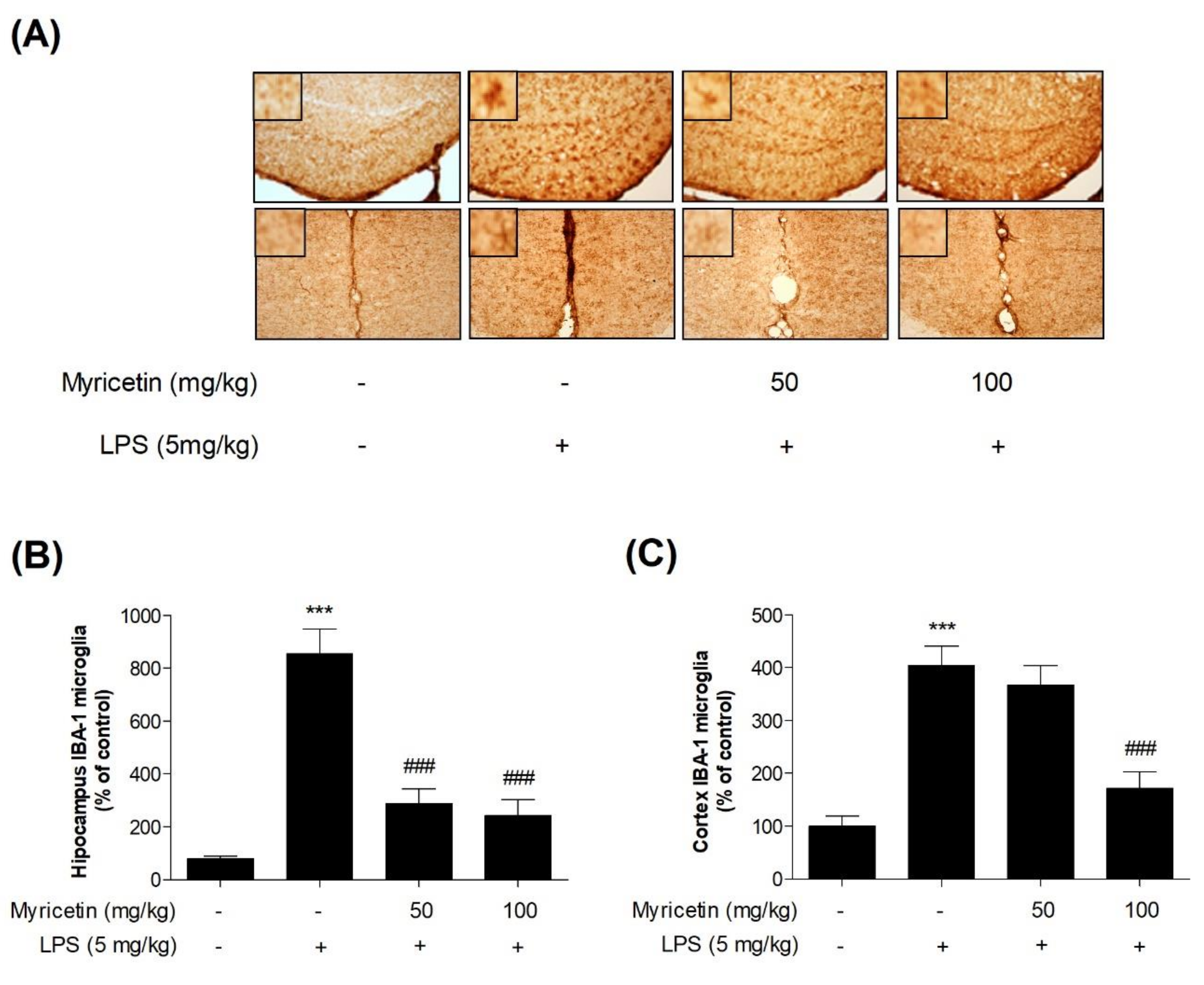 Brainsci 10 00032 g006