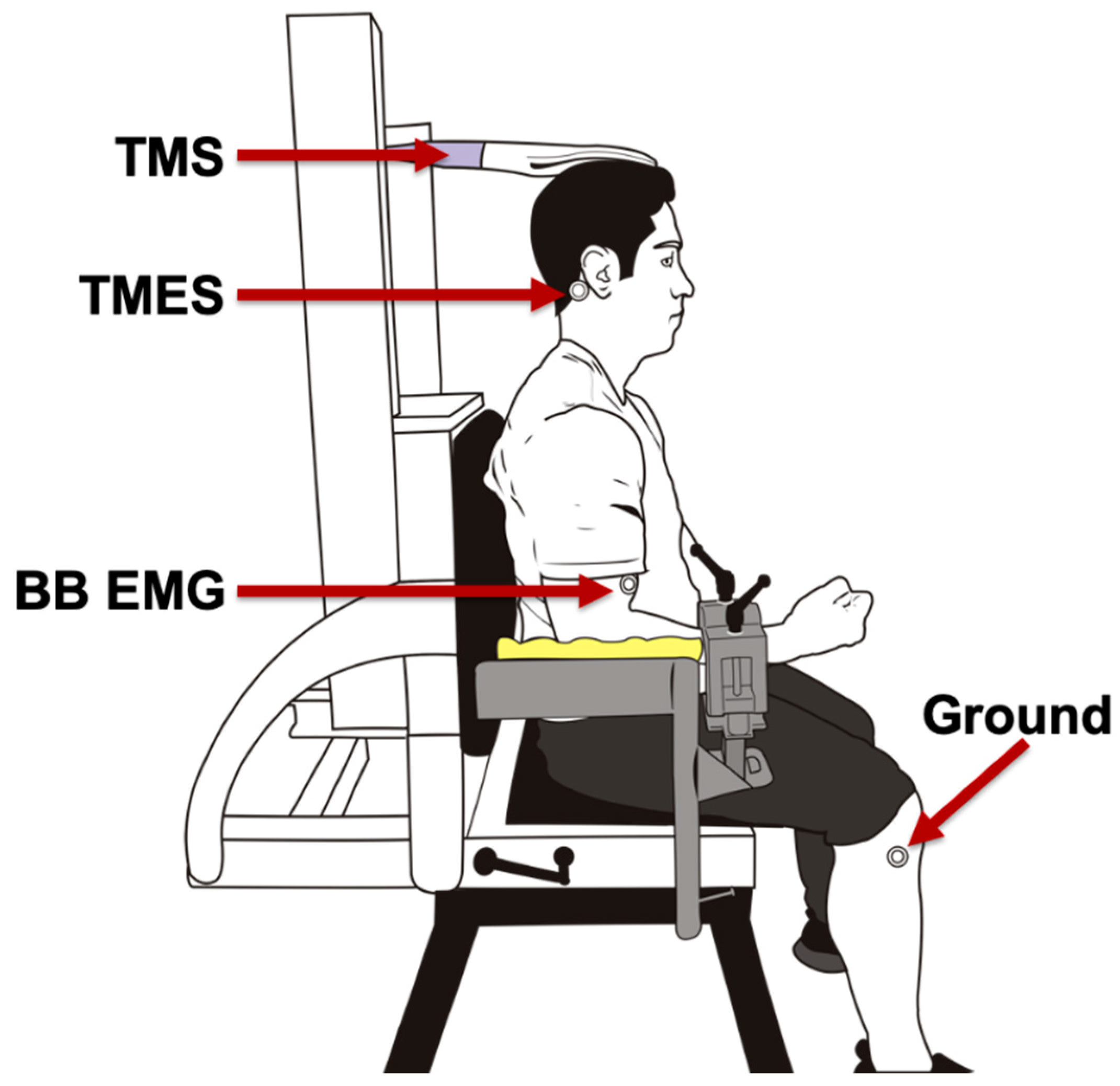 Brainsci 10 00033 g001 Brainsci 10 00033 g001